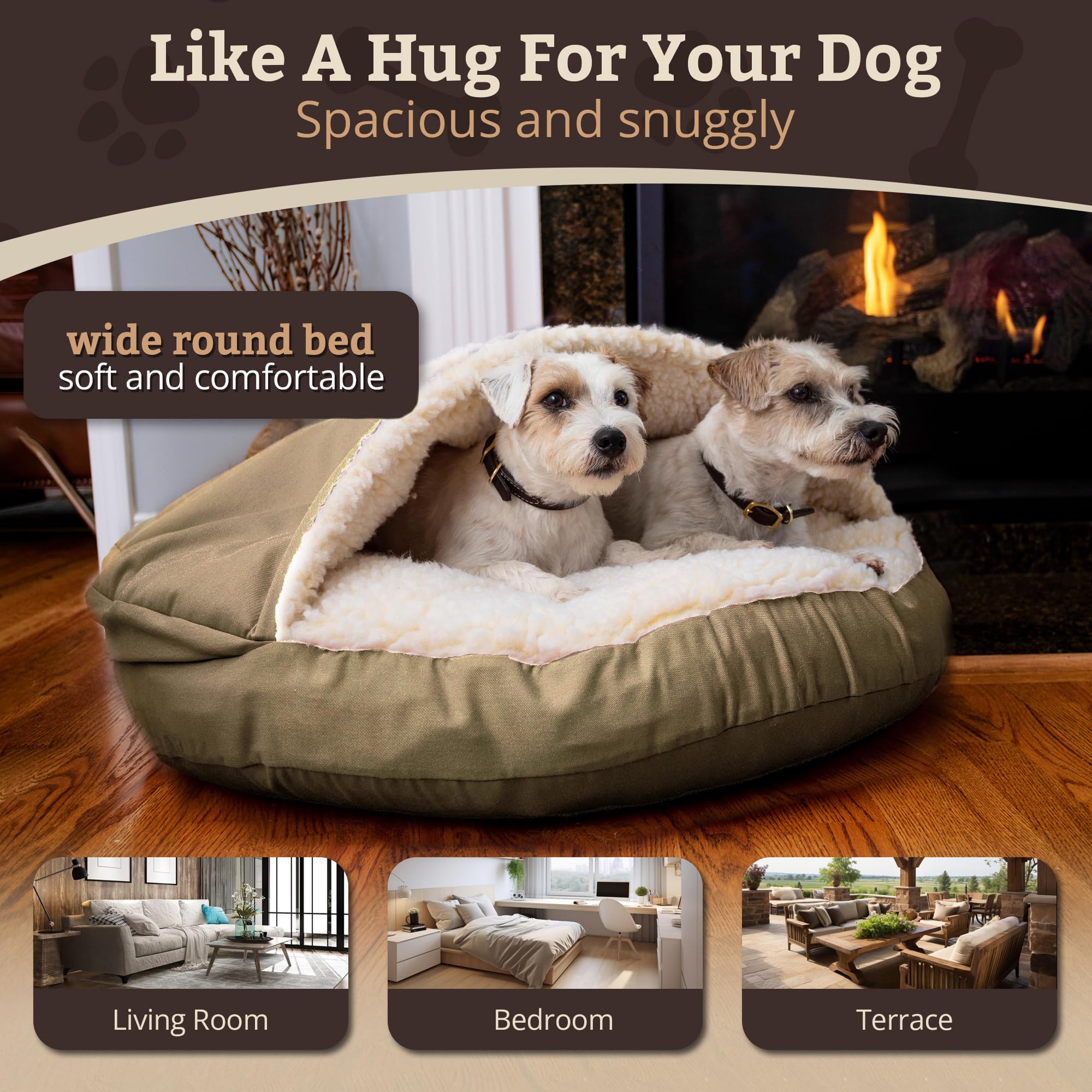 paleontorogy soft / Sea Bed シーベッド paleontorogy soft / Sea Bed