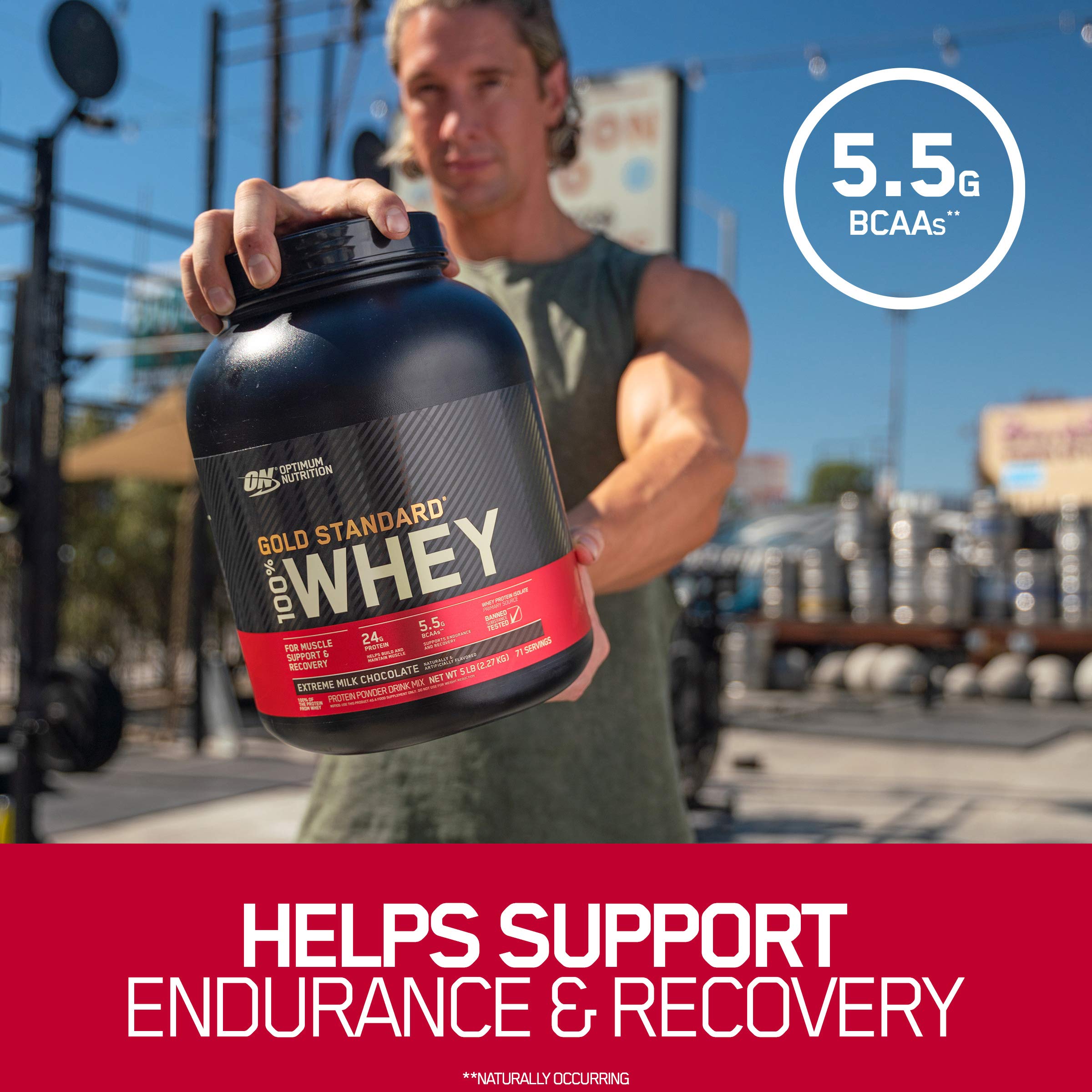 Optimum Nutrition (ON) Gold Standard 100 Whey Protein Primary Source