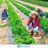 Vista 8 de CAPHAUS Láminas de plástico negro de 4 mil, 3 x 100 pies, resistente al agua, lona multiusos