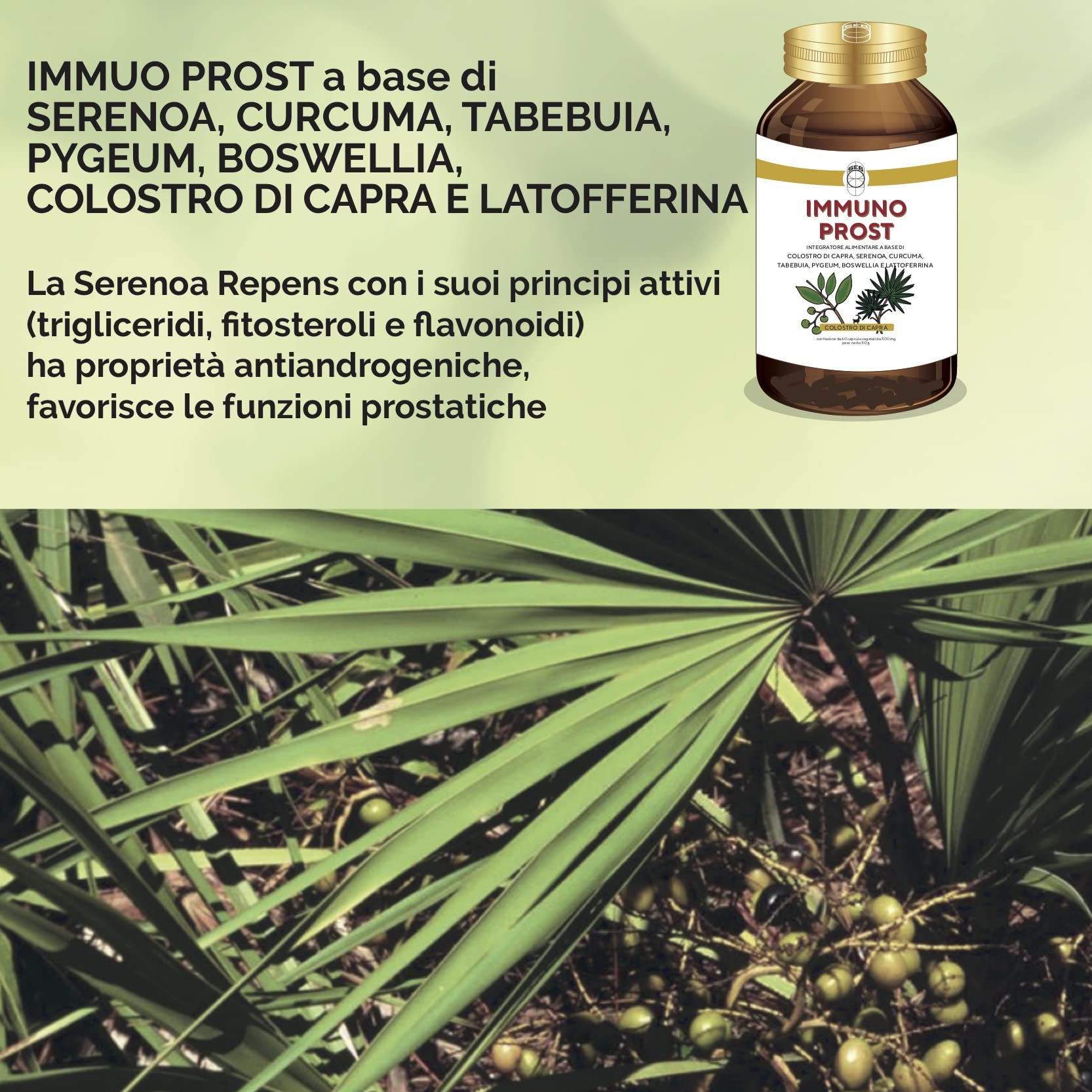 SEB - Immuno Prost - Integratore alimentare naturale per la salute della prostata. Rimedio naturale per contrastare le possibili complicazioni