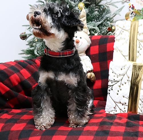 Miniatura 5 de Unique style paws Collar de perro con hebilla de metal, regalo para niños pequeños, medianos y grandes