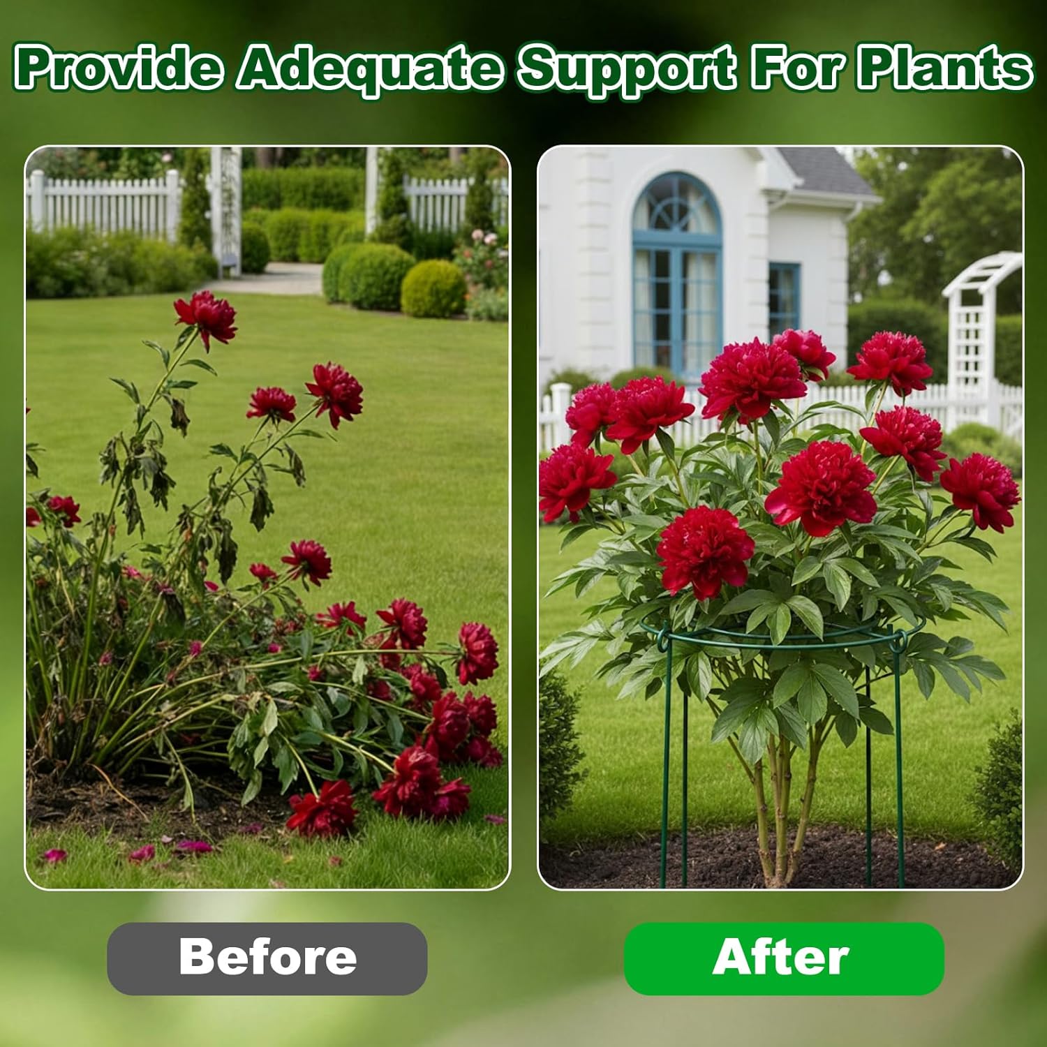 10 Pack Metal Peony Cages and Supports with 20 Plant Twist Clip Ties, Plant Support Stakes for Indoor Outdoor Plants, Tall Plant Holder Stick Kit, Plant Support Ring for Peony, Rose,Tomato, Hydrangea