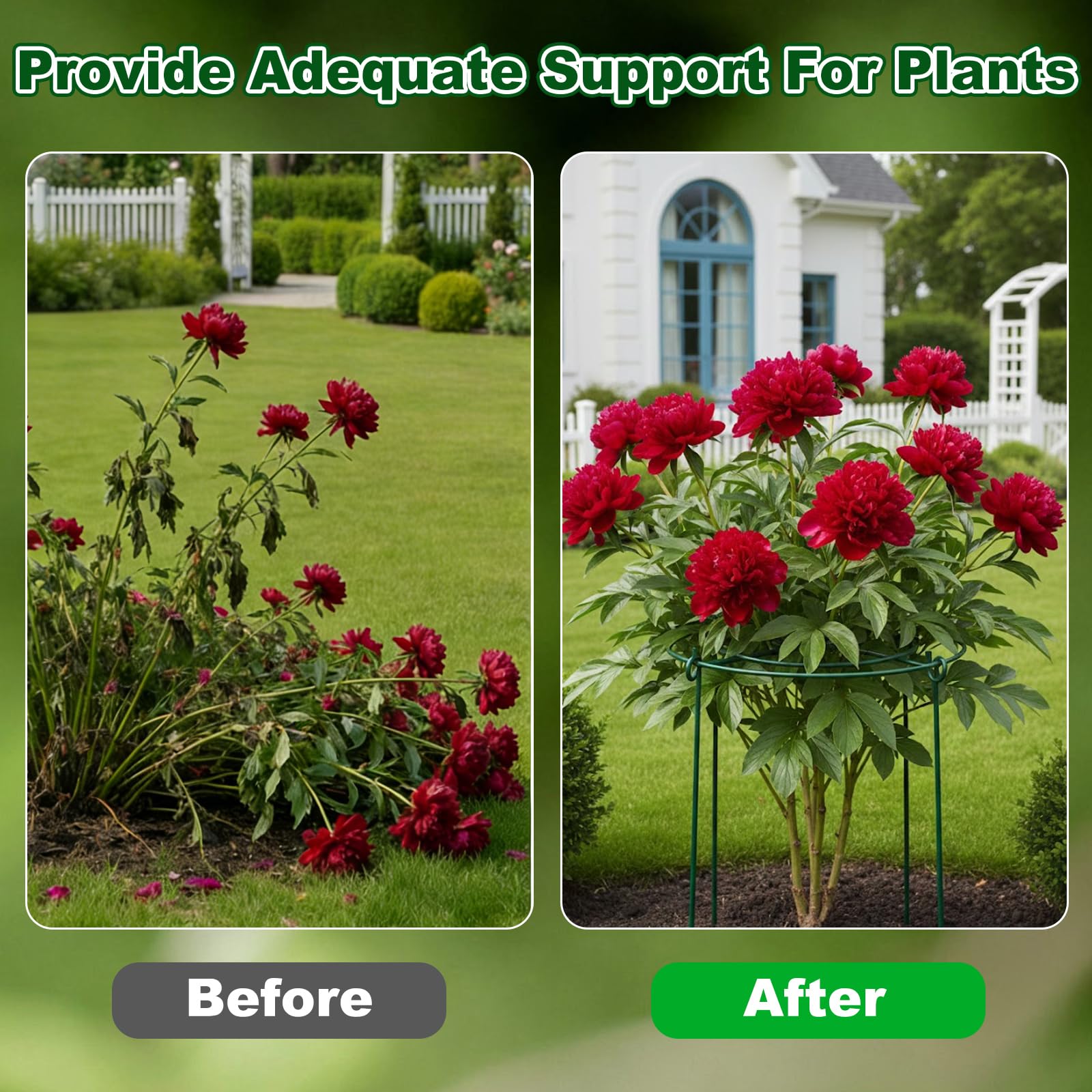 Lot de 10 cages et supports de pivoine en métal avec 20 attaches torsadées pour plantes d'intérieur et d'extérieur, kit de support de plantes pour pivoine, rose, tomate, hortensia