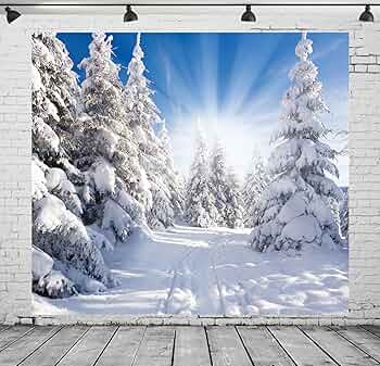 雪景色 版画 木製フレーム付き　最終お値下げ Amazon | CORFOTO 6×6フィート ファブリック 冬の風景背景 青空