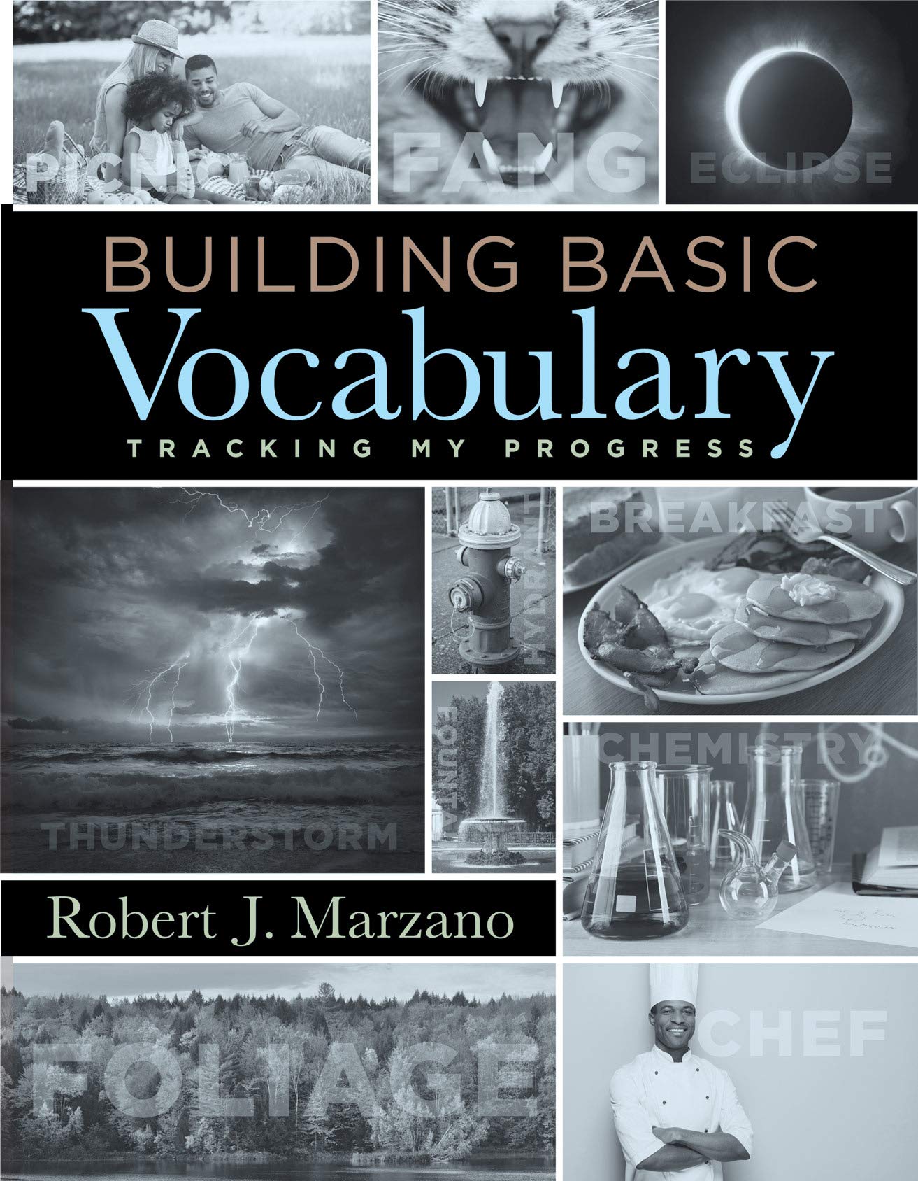 Building Basic Vocabulary: Tracking My Progress (A companion resource to help students learn new vocabulary words and build their literacy skills)