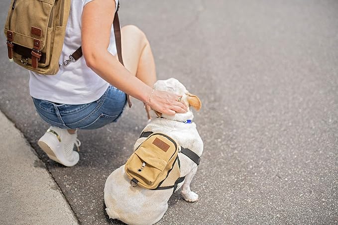 BoxDog Matching Dog Backpack and Human Backpack | Travel Camping Hiking Canvas and Leather Dog Backpack | Dog Park Backpack