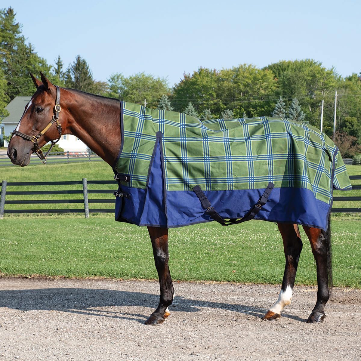 Country Pride Paladin High Neck Turnout Sheet - Green Plaid (70)