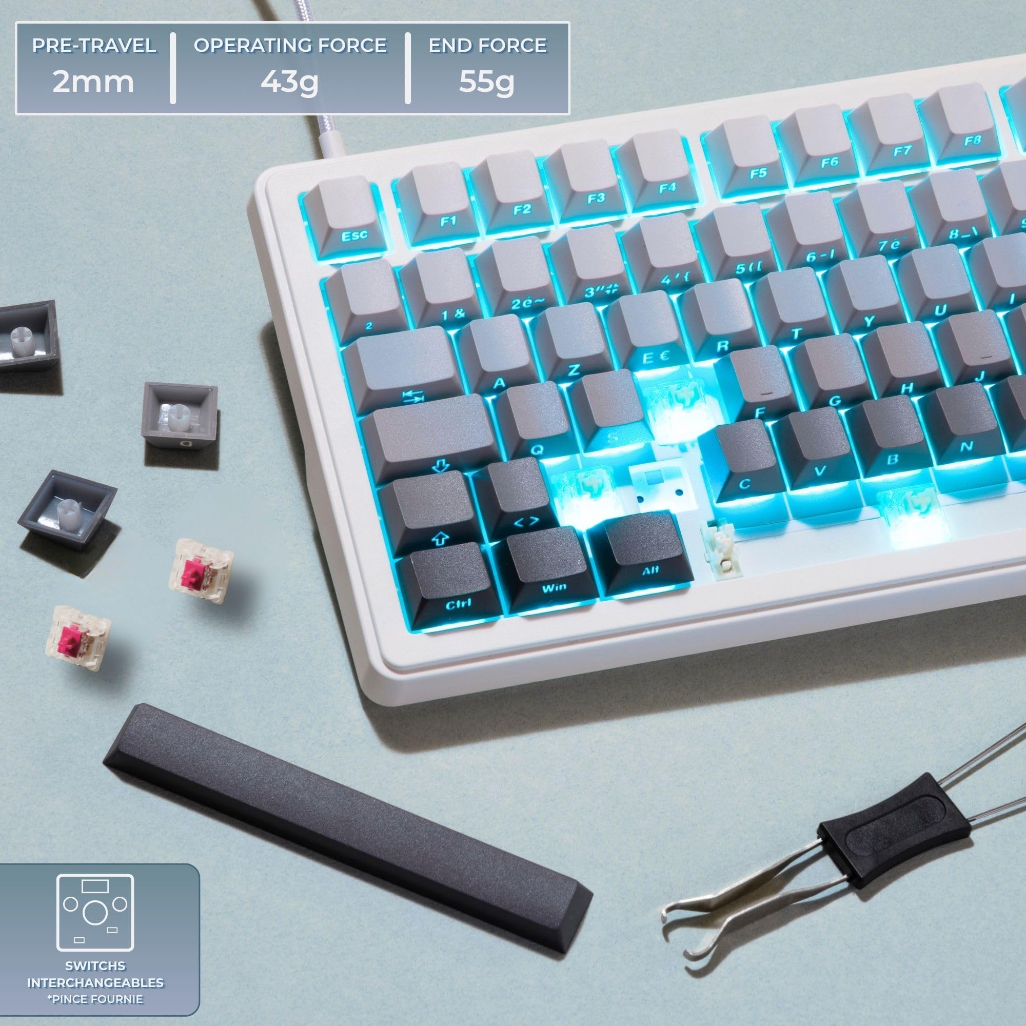 The G-Lab KEYZ Elite 300 GRW - Tastiera Gamer Wireless TKL Tri Mode 2.4 Ghz/Bluetooth/cablata - Tastiera meccanica Hot Swap, Switch Pre-lubrificati, Incisore Laterale, RGB+Macro - AZERTY FR - Windows