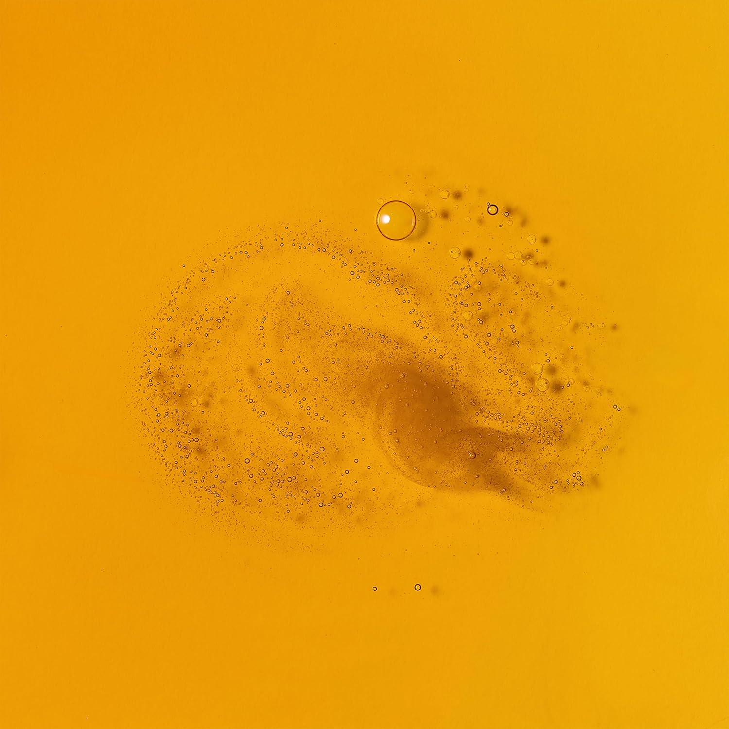 Bambu Earth Rosehip Repairing Face Serum - Facial Hydration and Face Moisturizer Rich in Vitamins - Nourishes Skin, Boosts Radiance and Restores Clarity for Sensitive Skin - Daily Skincare - 1 Fl oz - Image 5