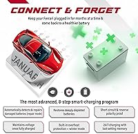 Vista 5 de JMR Cargador de Batería para Ferrari 458 California F12 FF 599 612 F430 Cargador de Goteo Acondicionador Mantenedor