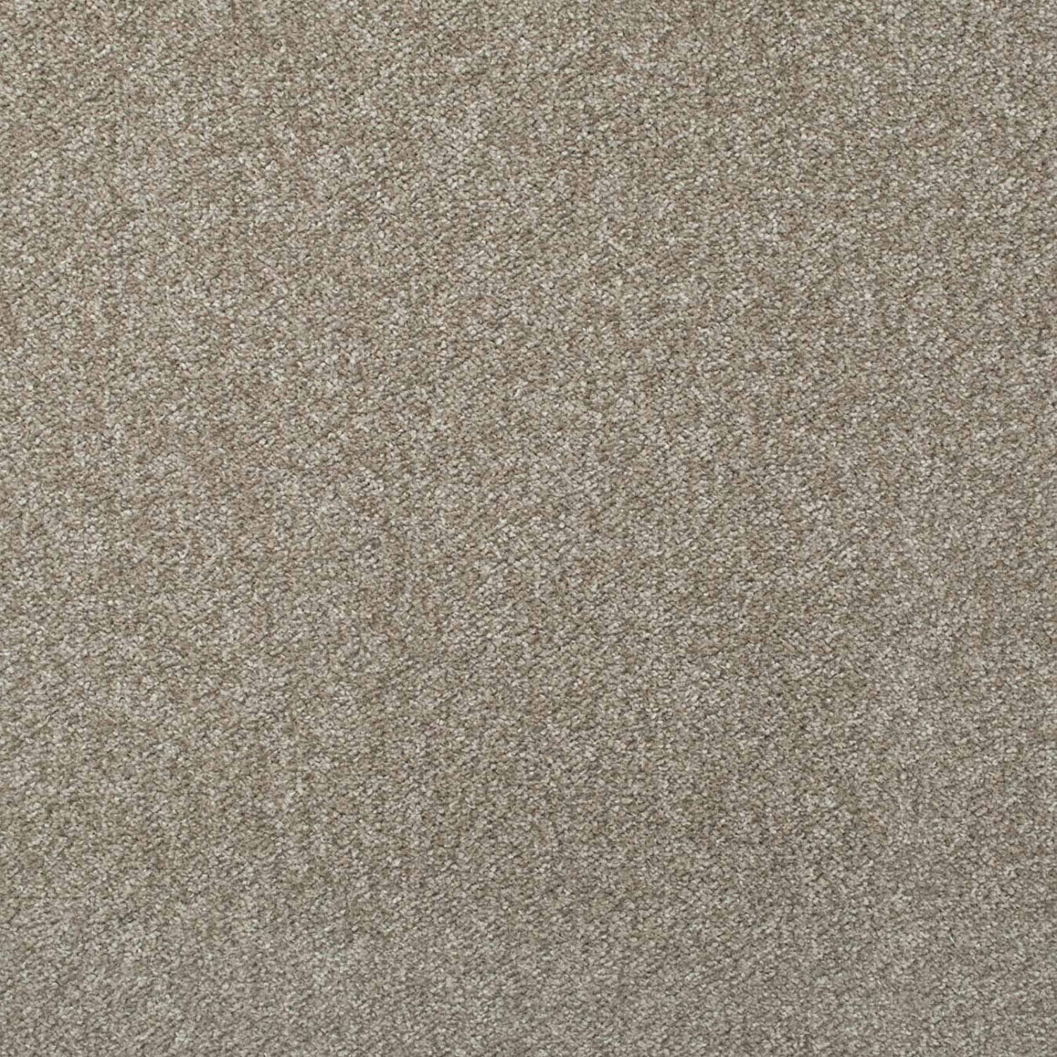 247Floors Mink Budget Saxony Carpet 8Mm Flecked Stain Resistant Hard Wearing Feltback (, 6M X 5M)