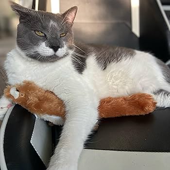 なめ猫ｏｎＳＴＡＧＥ Pawz-Road-28-3-Furry-Monster-