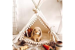 Rabbit Hideaway: The Perfect Cozy Den for Your Furry Friend
