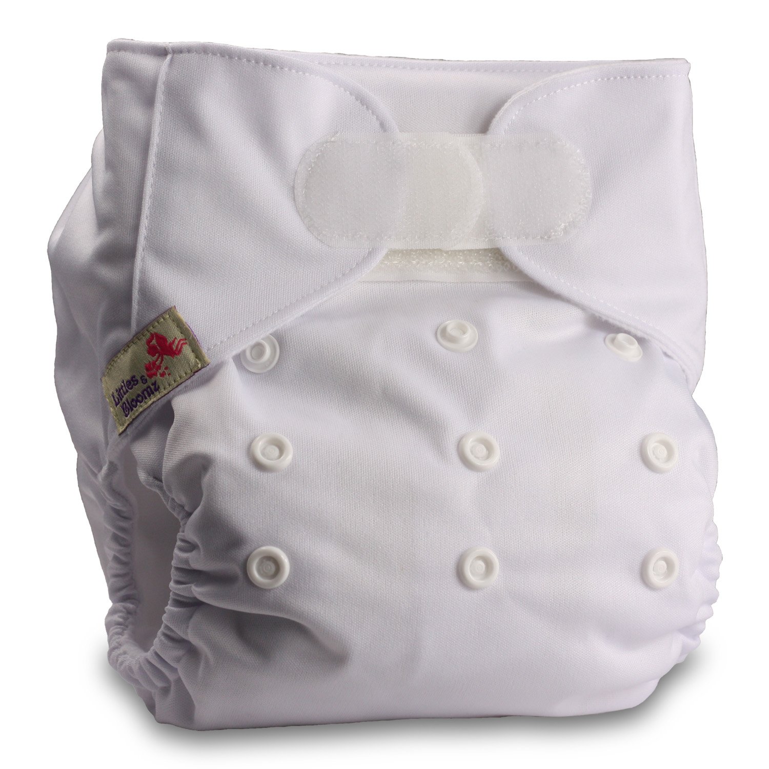 Littles & Bloomz, Reusable Pocket Cloth Nappy, Fastener: Hook-Loop, Set of 1, Pattern 44, with 2 Bamboo Charcoal Inserts