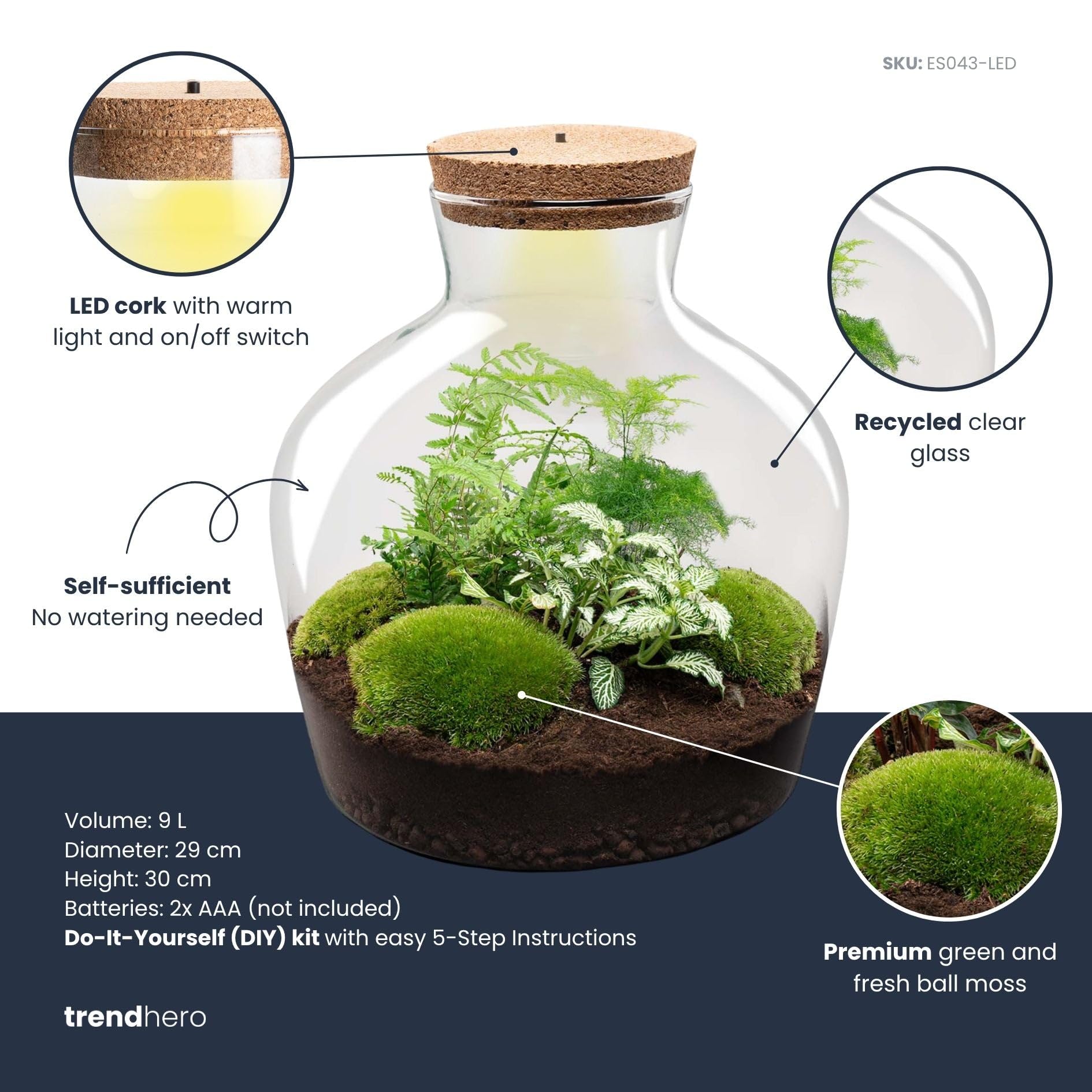 urbanjngl - Fat Joe Terrarium Grün - DIY Kit mit Licht - Pflanzene kosystem - Ø 29 cm, Höhe 30 cm - Ideal für Pflanzenliebhaber und kreative Dekoration