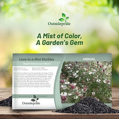 Miniatura 3 de Outsidepride Nigella Marbles Love-in-a-Mist Plantas de flores de jardín - 1000 semillas