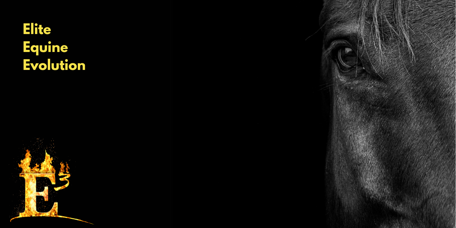 E3 Thrush Clear Treatment - 8 oz - Powerful Solution for Equine Hoof Thrush - Promotes Healthy Hoof Recovery - Prevents Future Infections - Safe for Regular Use - image 7