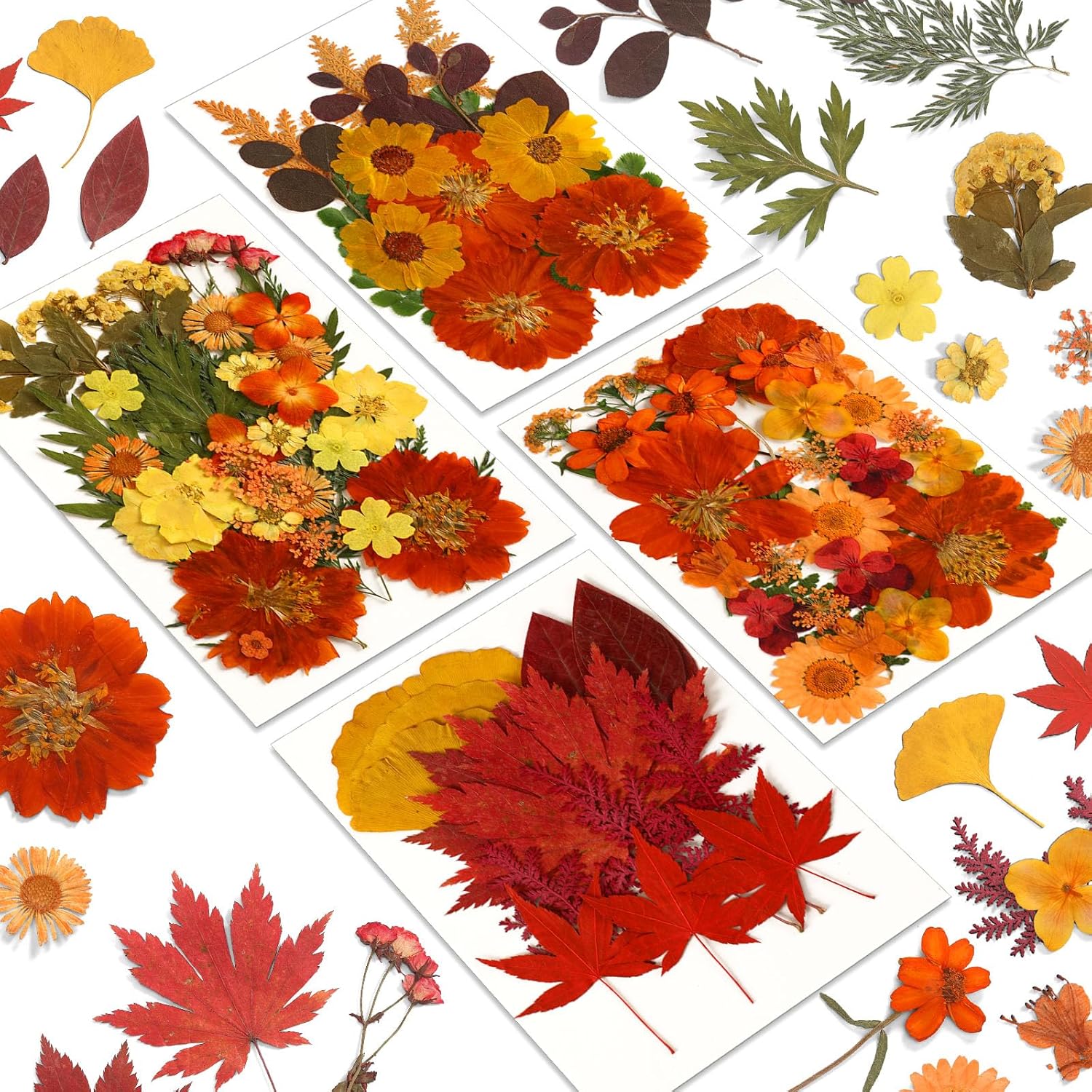 Augshy 100pcs Fall Dried Pressed Flowers & Autumn Leaves for Resin Molds, DIY Crafts, Jewelry, Scrapbooking, Candles