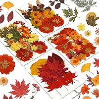 Augshy 100pcs Fall Dried Pressed Flowers & Autumn Leaves for Resin Molds, DIY Crafts, Jewelry, Scrapbooking, Candles