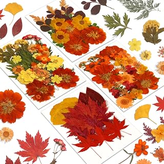 Augshy 100pcs Fall Dried Pressed Flowers & Autumn Leaves for Resin Molds, DIY Crafts, Jewelry, Scrapbooking, Candles