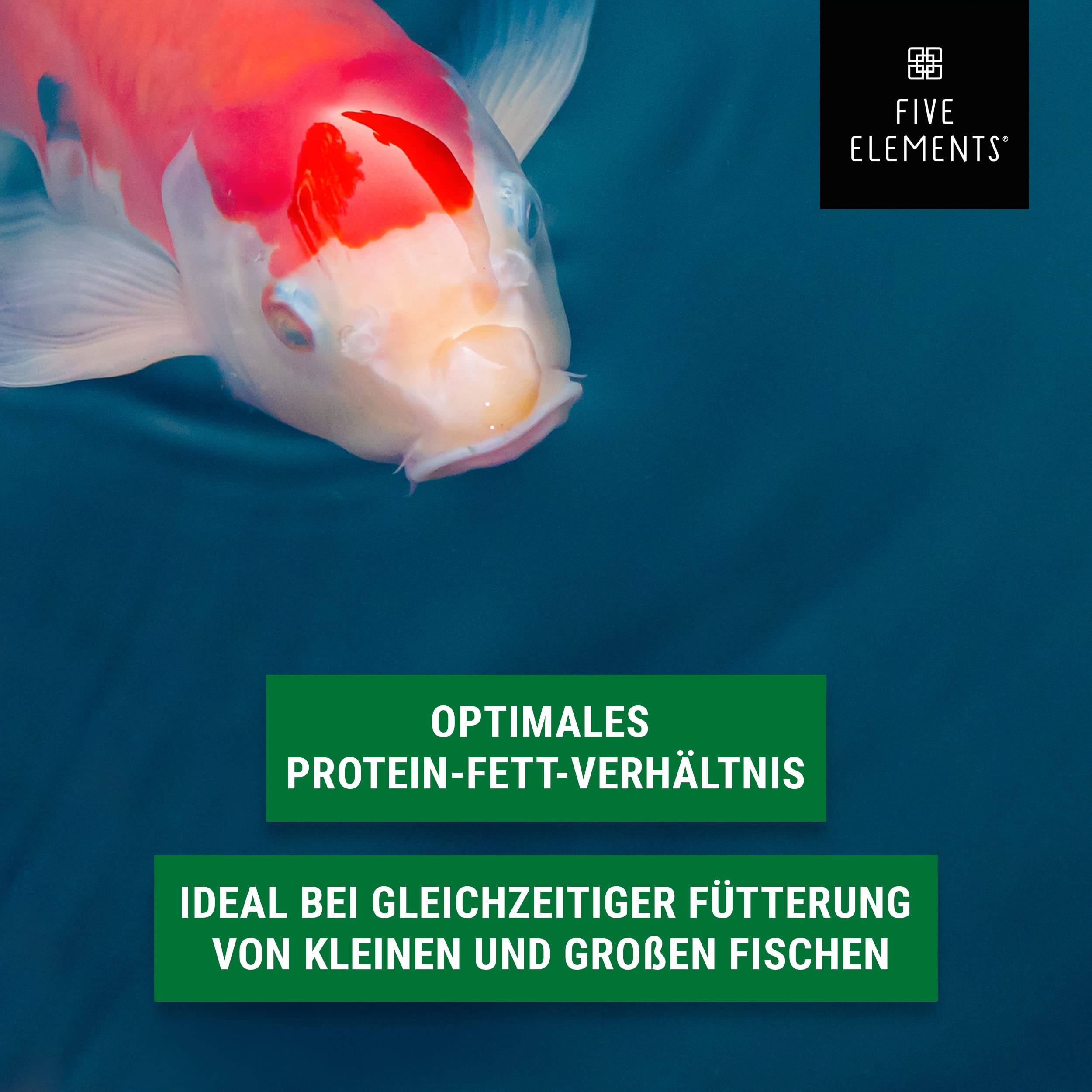 FIVE ELEMENTS® Koi Sink Plus | 9,0 kg | optimal als Frühjahr-Futter | sinkendes Koi-Futter | wiederverwendbarer Eimer