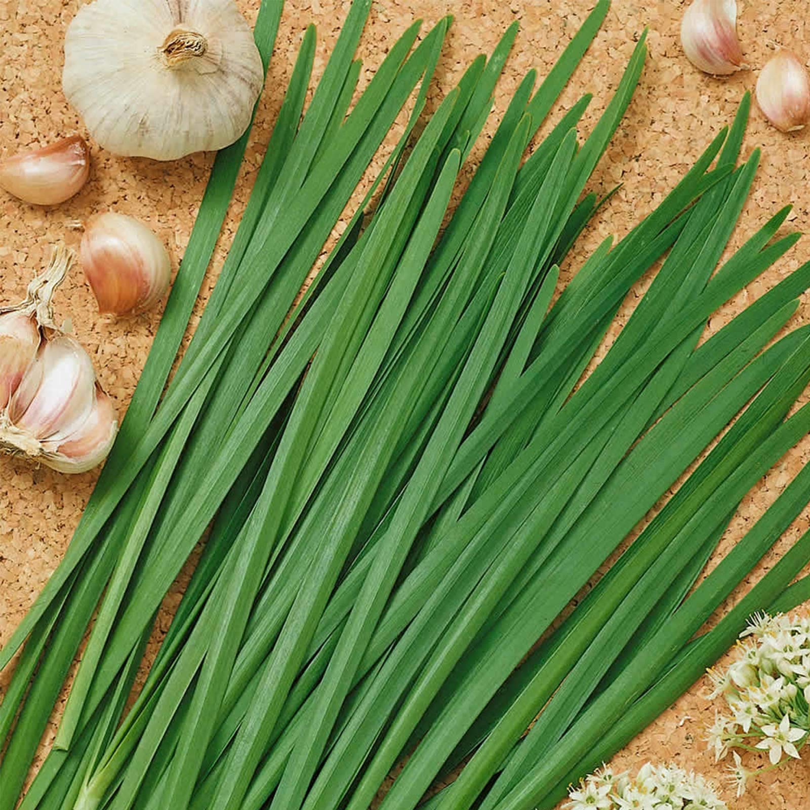 Sustainable Seed Company Organic Garlic Chives
