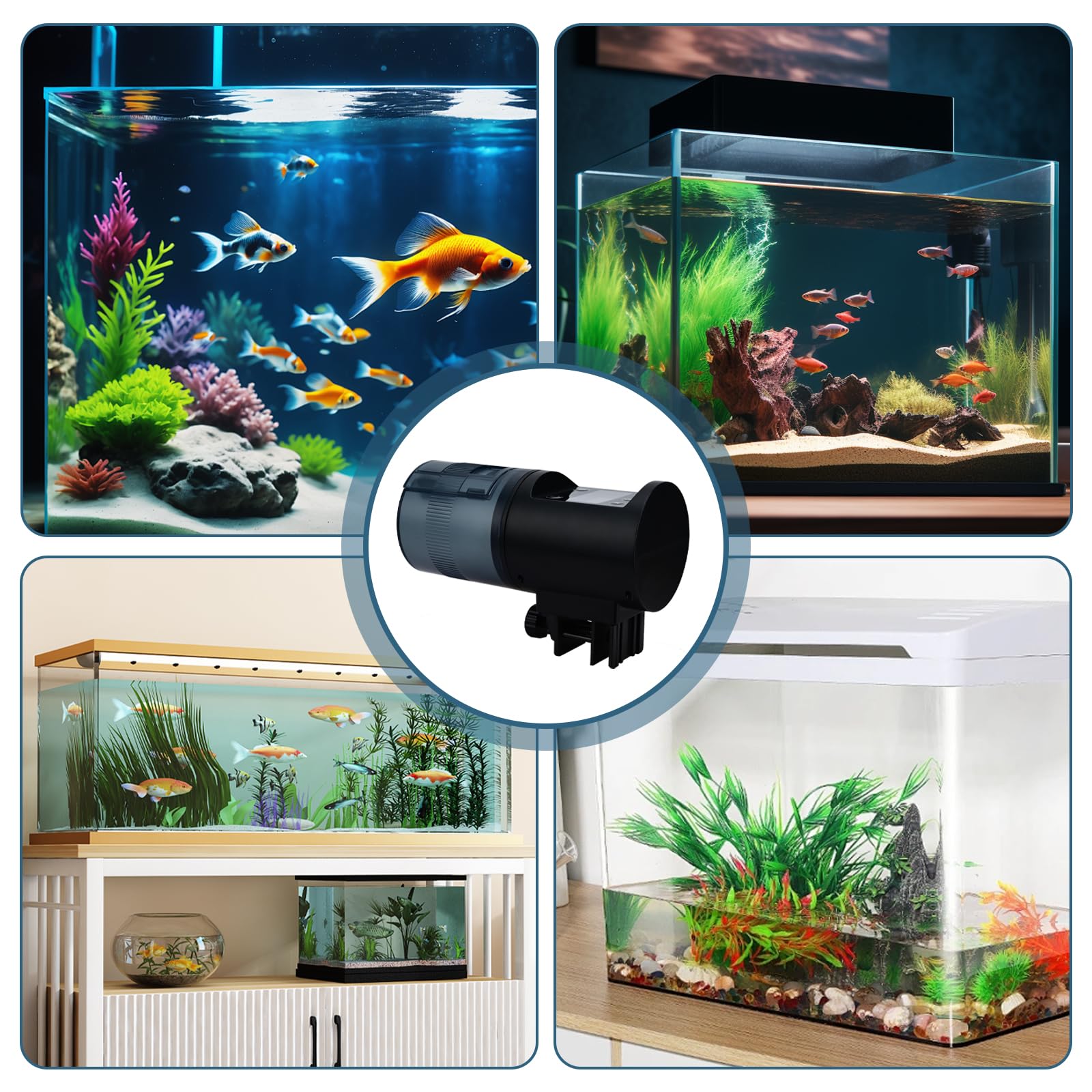 Podazz Mangeoire automatique pour poissons