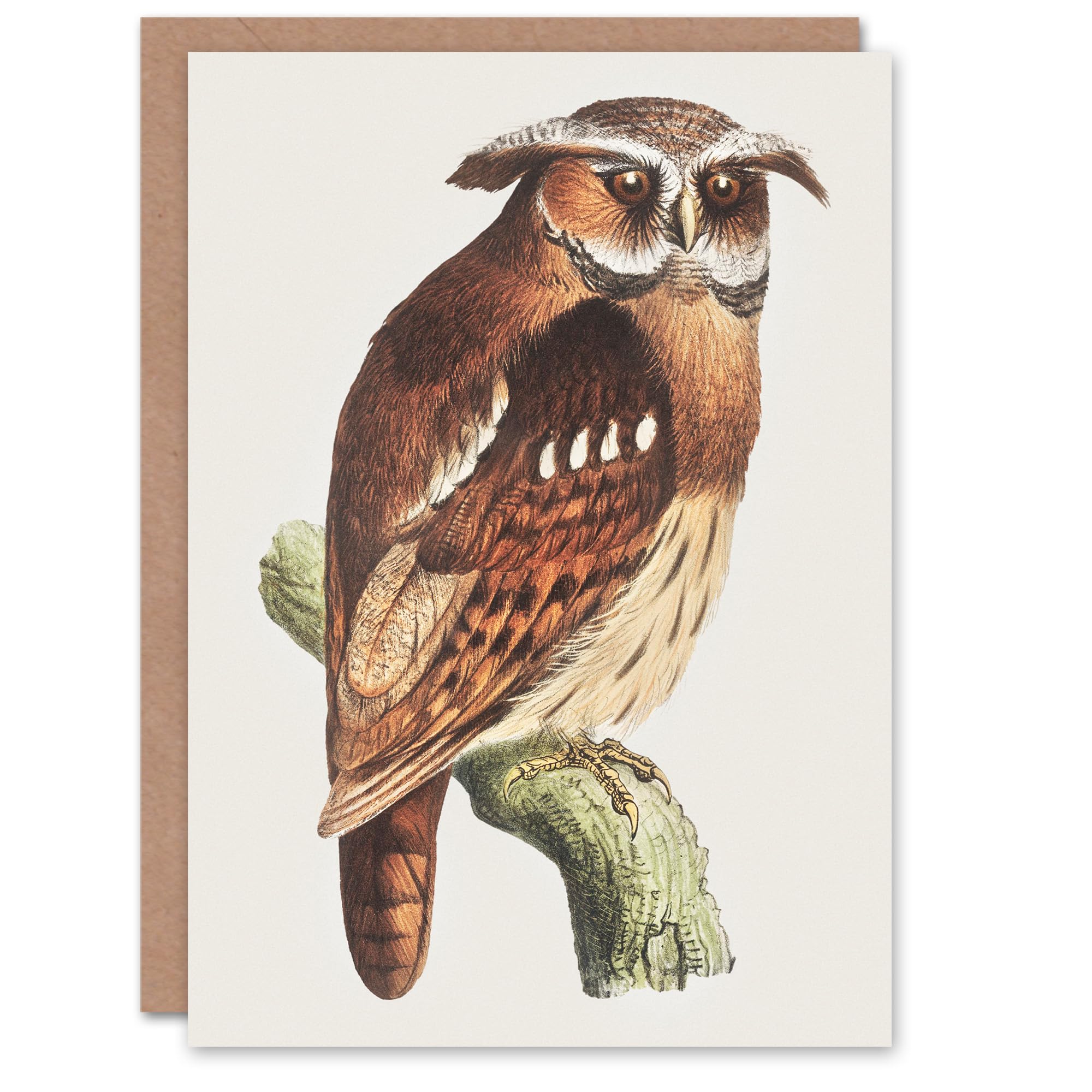 Artery8 Theo van Hoytema Art Card Eagle Owl Perched on a Branch