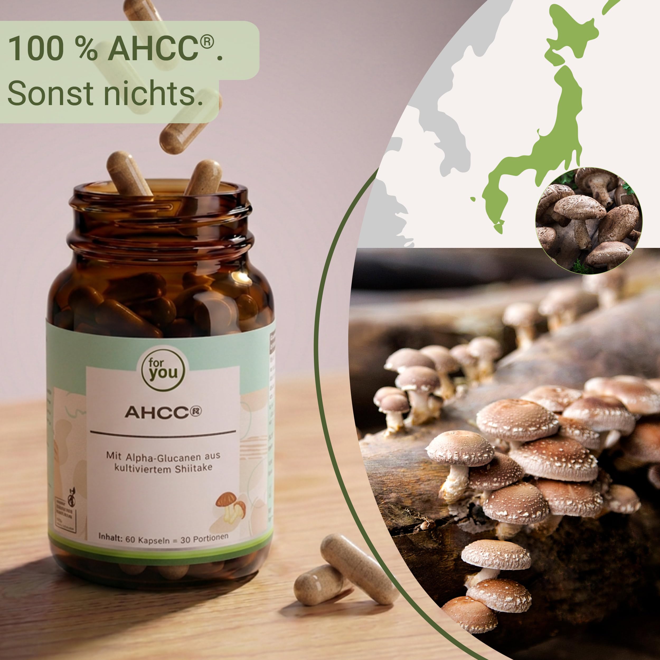 for you AHCC Kapseln 60 Stück – kultivierter Extrakt aus Shiitake Pilz mit Alpha-Glucanen | 1.000 mg pro Tagesdosis | fermentierter Pilzextrakt | Nahrungsergänzungsmittel