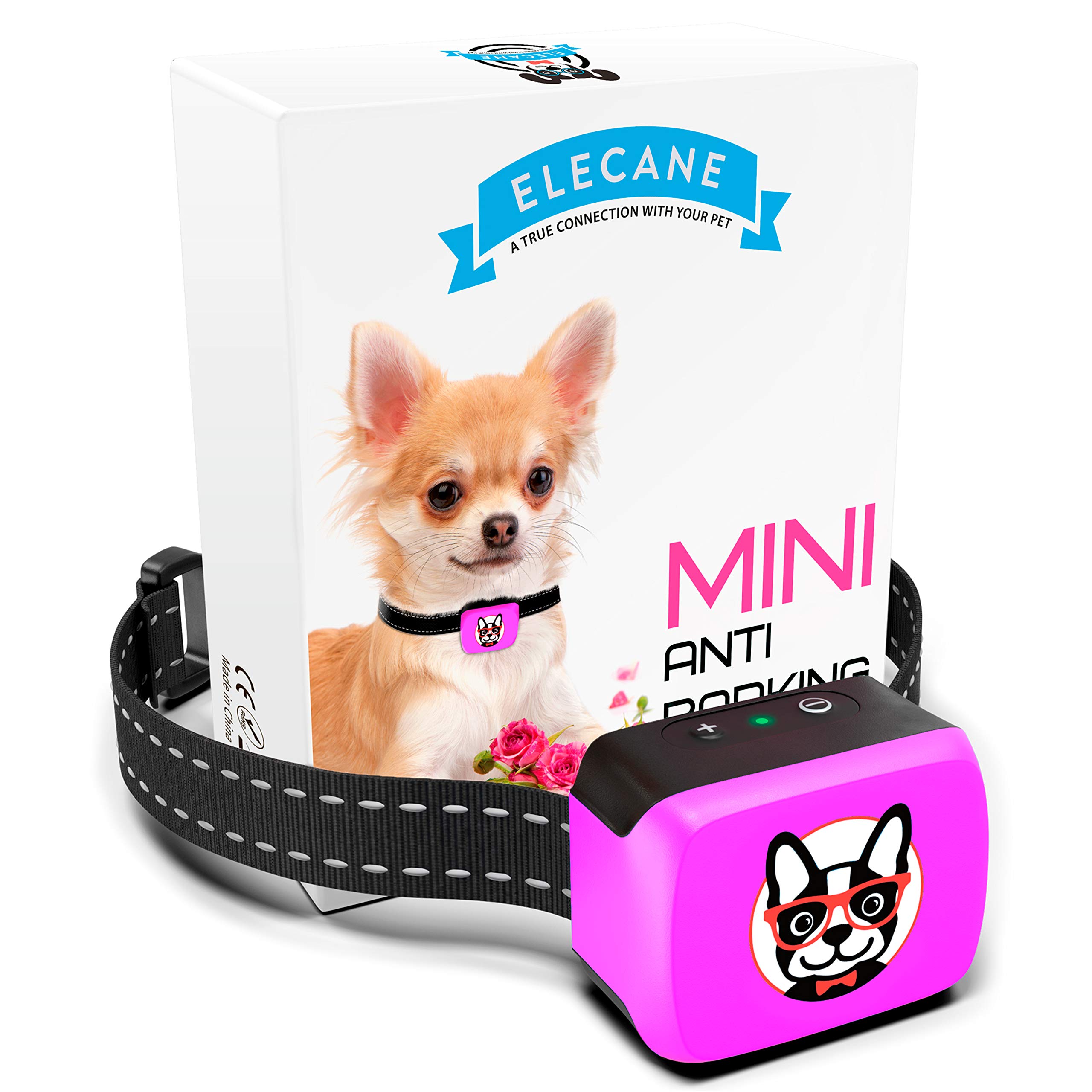 mini dog shock collar
