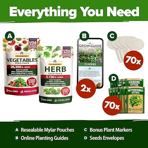 Miniatura 41 de HOME GROWN Más de 1000 semillas de cilantro para plantar en interiores o exteriores, hierbas tradicionales sin OMG, semillas de plantas de cilantro