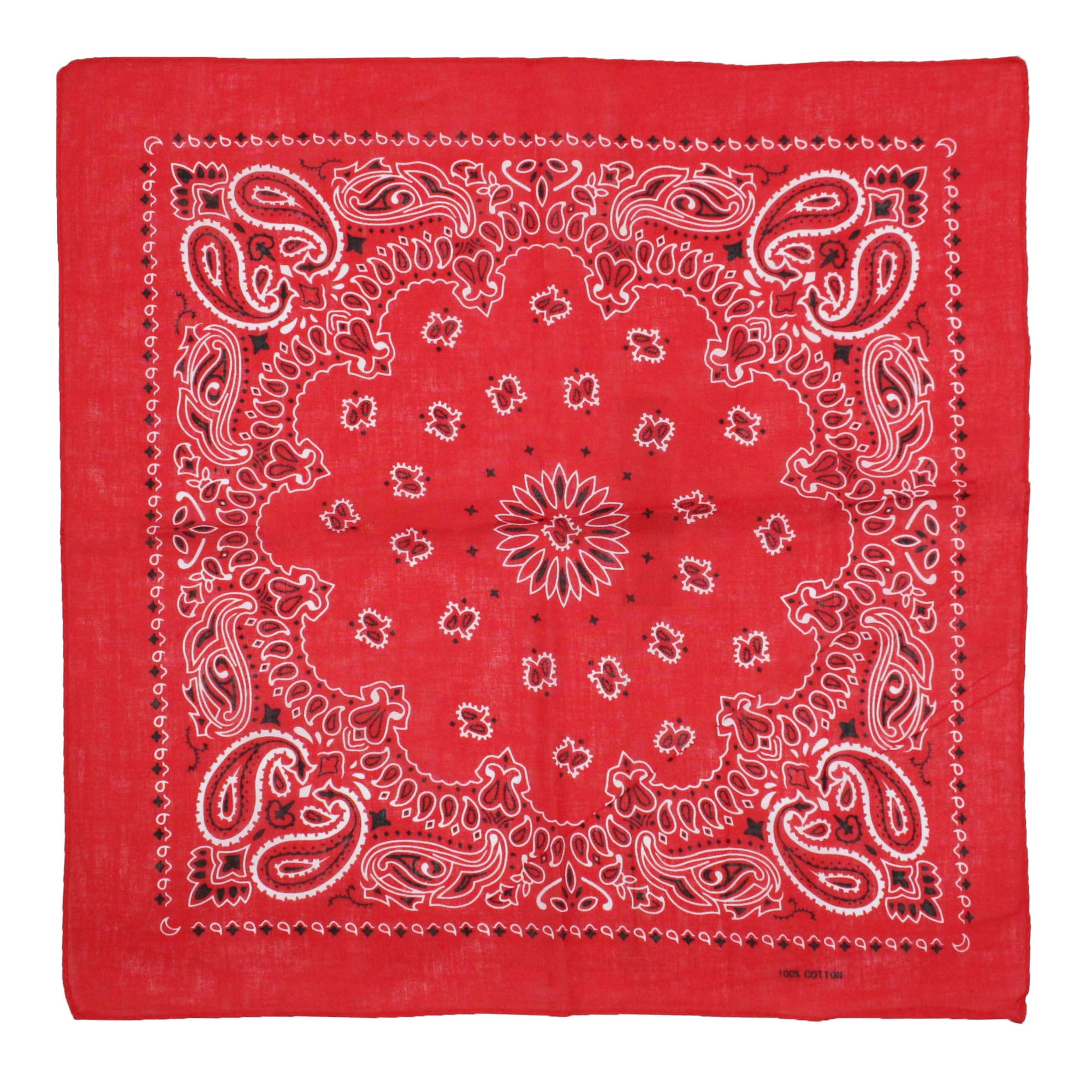 Zac's Alter Ego Retro Vintage Style Cowboy Paisley Bandana/Neckerchief/Durag