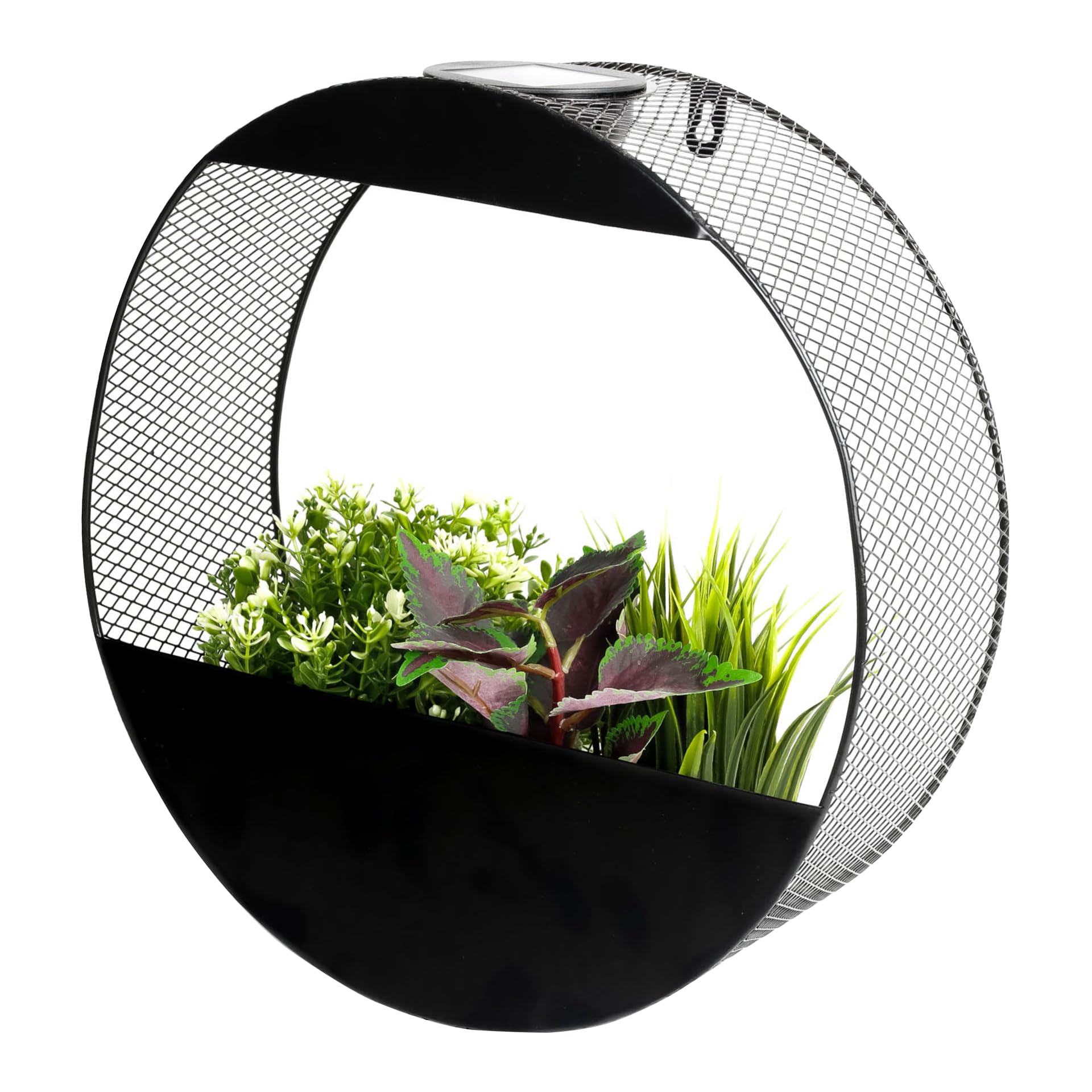 Gardenwize - Solar Pwered Warm LED Flower Wall Planter Decorative Stylish Indoor & Outdoor Ceiling and Wall Planter with Recharable Solar Back-up For Home,Garden (Round)