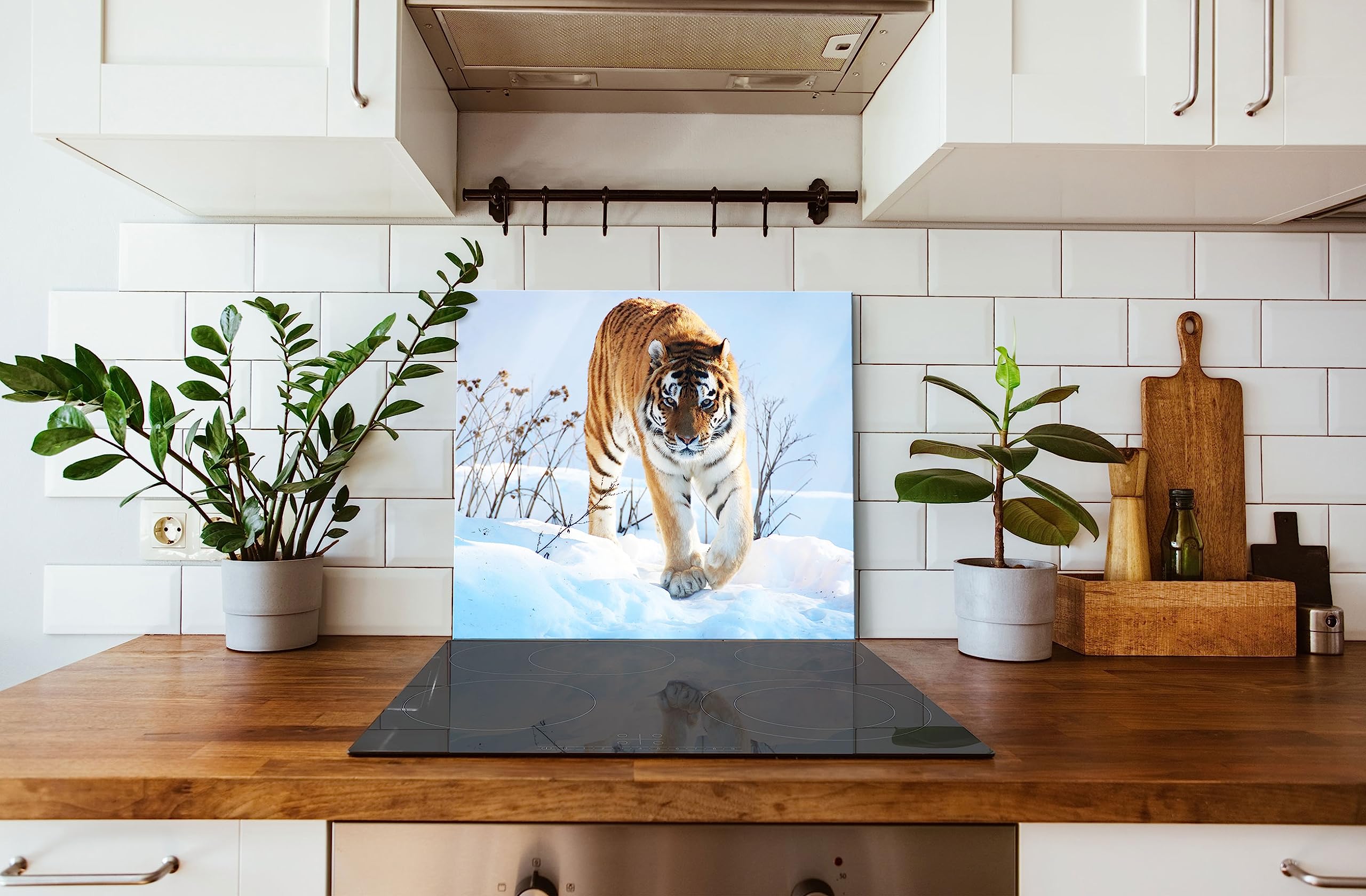 Stolzer Tiger im Snow Plaque de protection pour cuisinière et protection anti-éclaboussures en verre véritable 60 x 52 cm