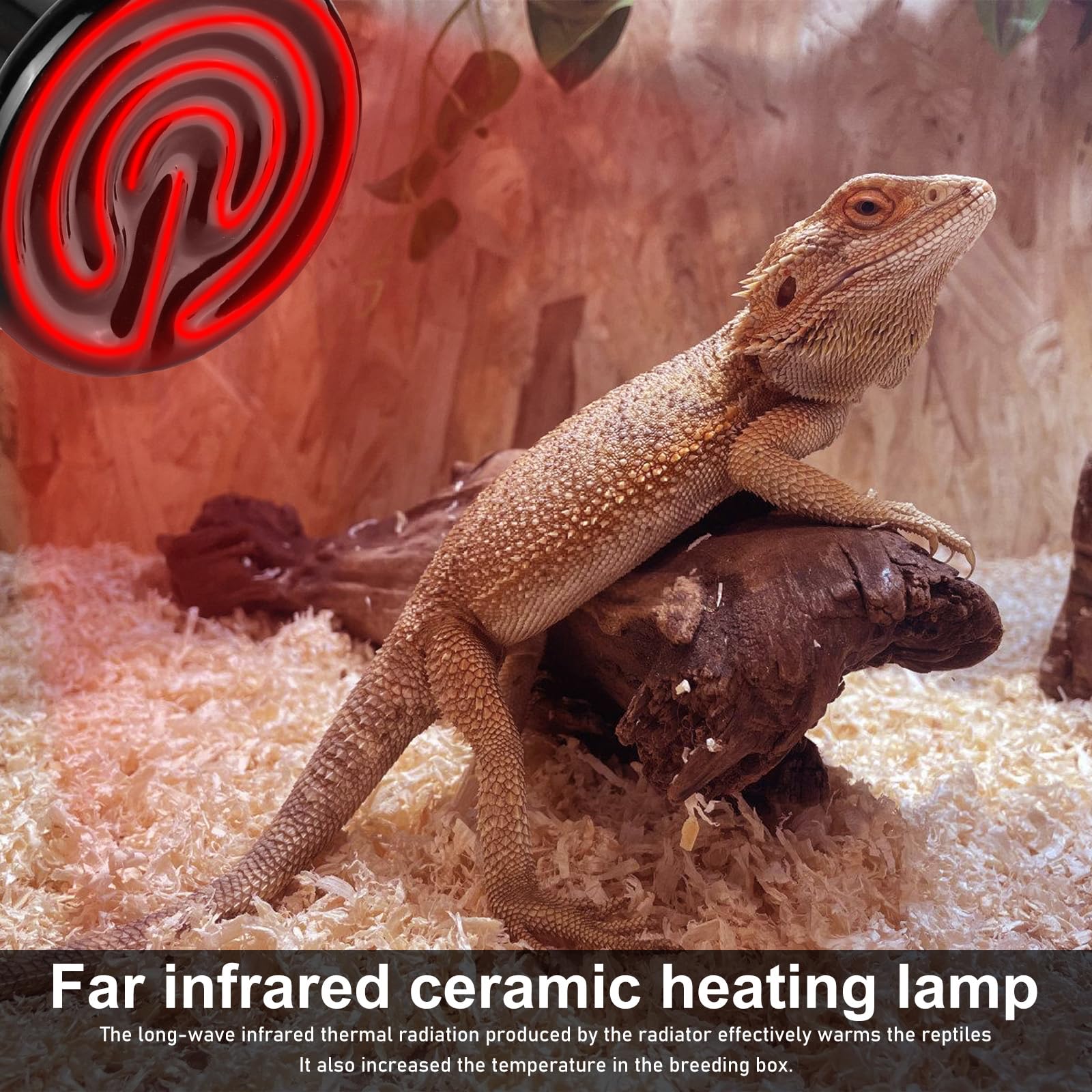 2 sztuki lamp grzewczych dla gadów: E27, ceramiczna lampa grzewcza, 100 W, terrarium, gady, żółw, agama, wąż, pająk, jaszczurka, pisklę