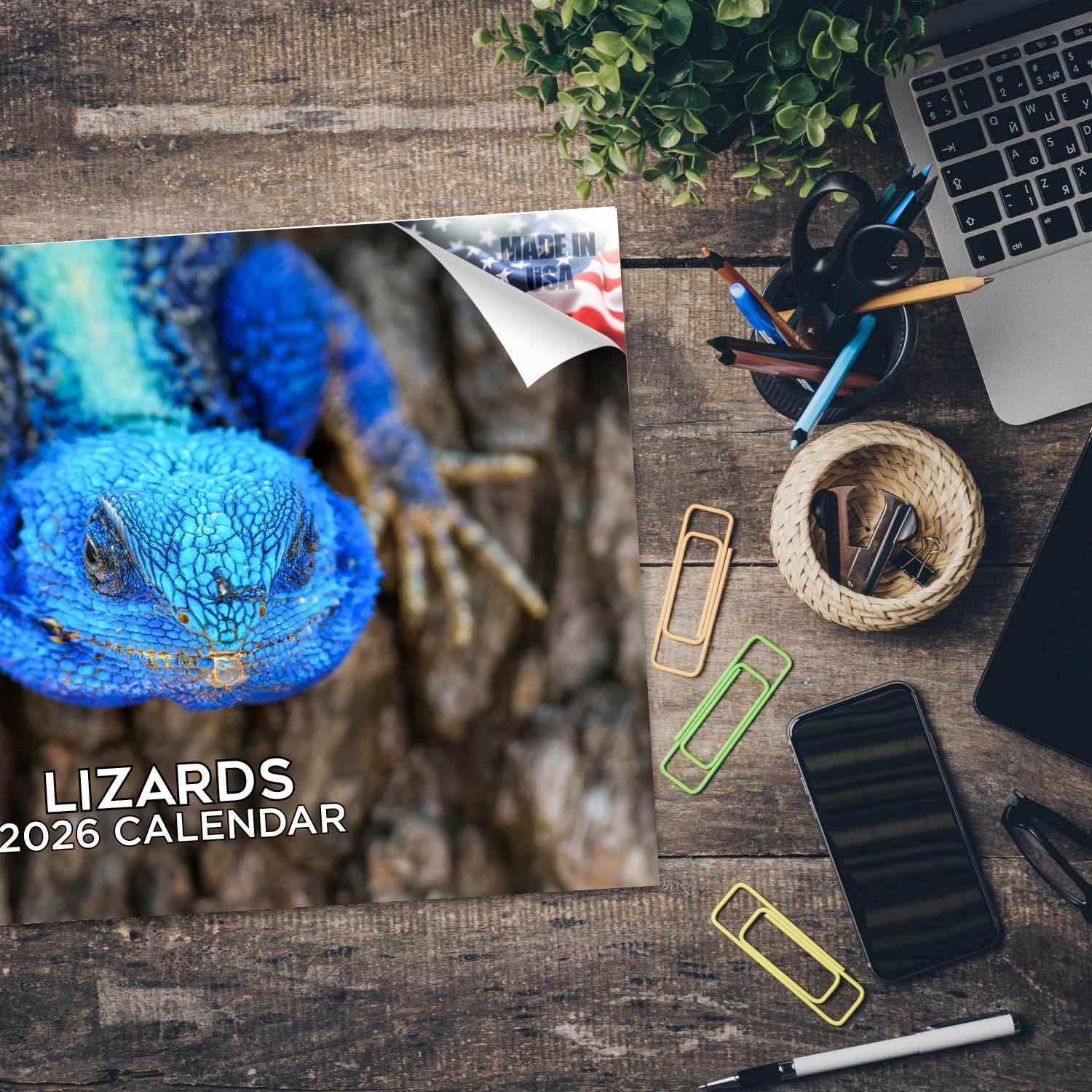 2024 2025 Eidechse – Reptilien-Monats-Wandkalender – 30,5 x 45,7 cm offen – dickes Papier ohne Auslaufen – Geschenk – akademischer Lehrerplaner Kalender Organisieren und Planen