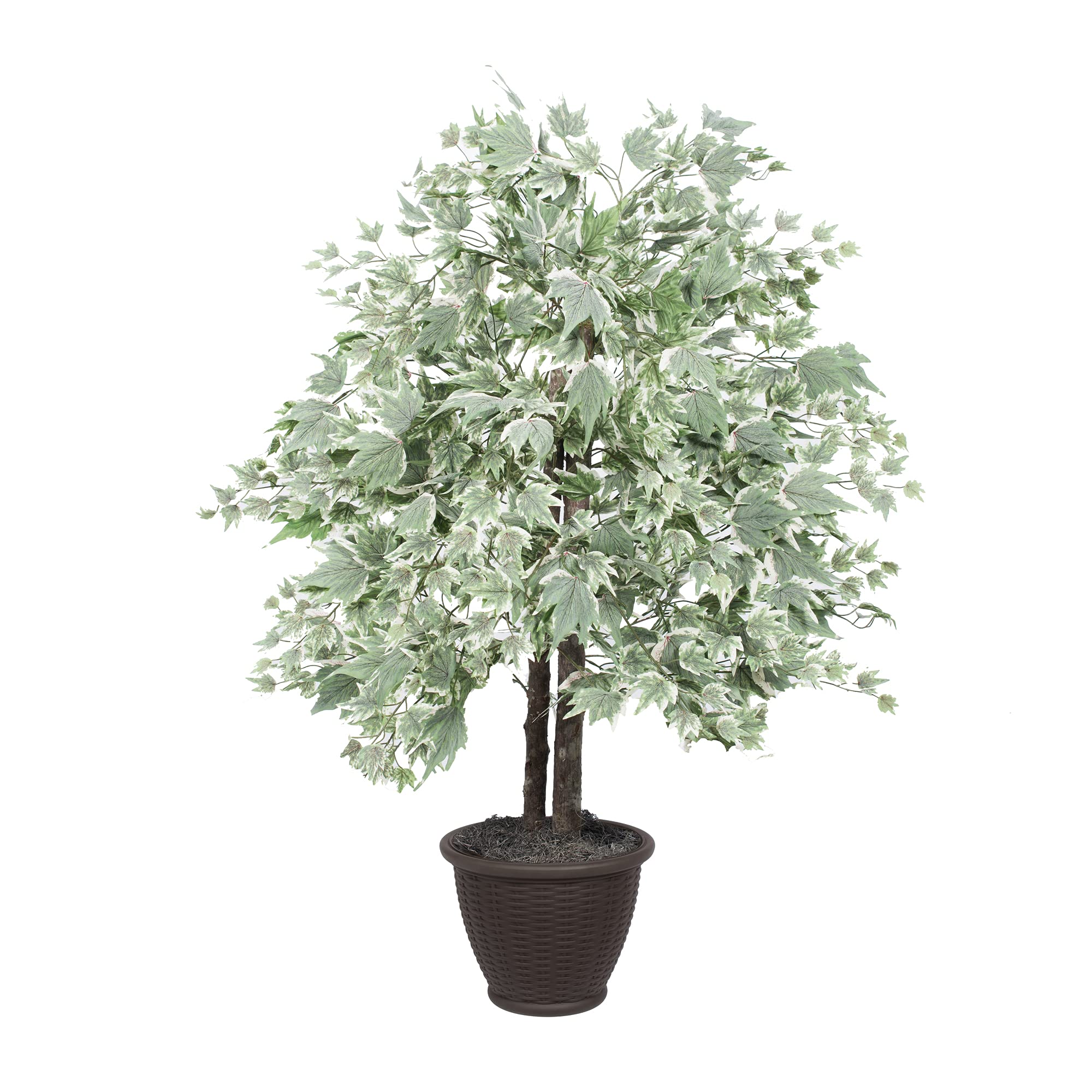 Vickerman 4' Indoor Artificial Silver Maple Bush, Brown Plastic Container.