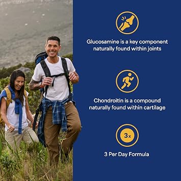 Puritan's Pride Glucosamine Chondroitin MSM Dietary Supplement