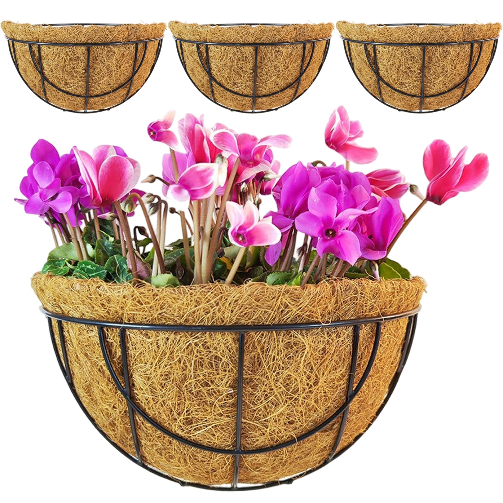 Paniers muraux pour plantes avec doublure en fibre naturelle drainante