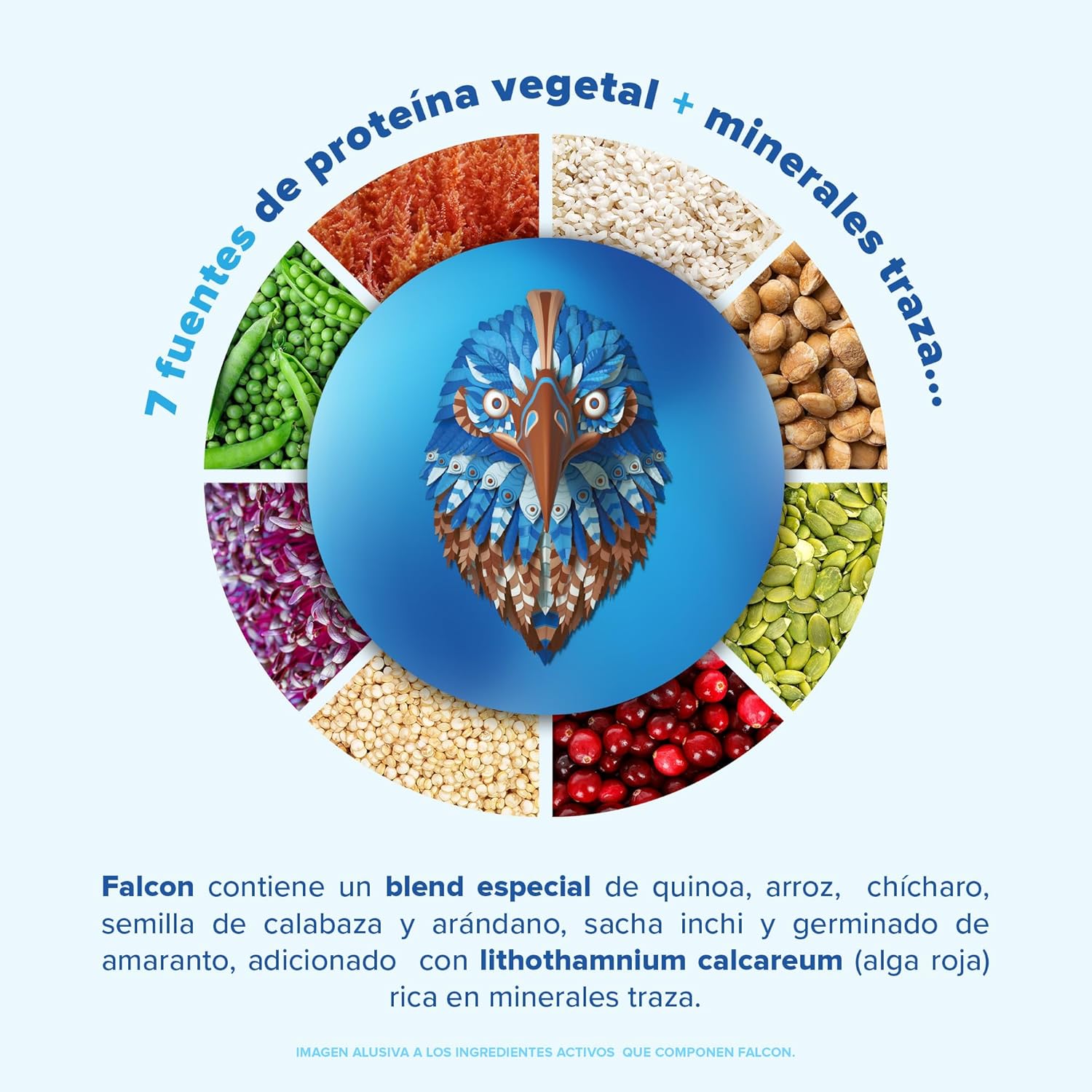 BIRDMAN Falcon Protein Proteína Vegana Orgánica en Polvo | 7 Fuentes Vegetales | Con Enzimas y Probióticos | Sin Gluten | Sin Lácteos | Hipoalérgenico | Sabor Chocolate | 60...