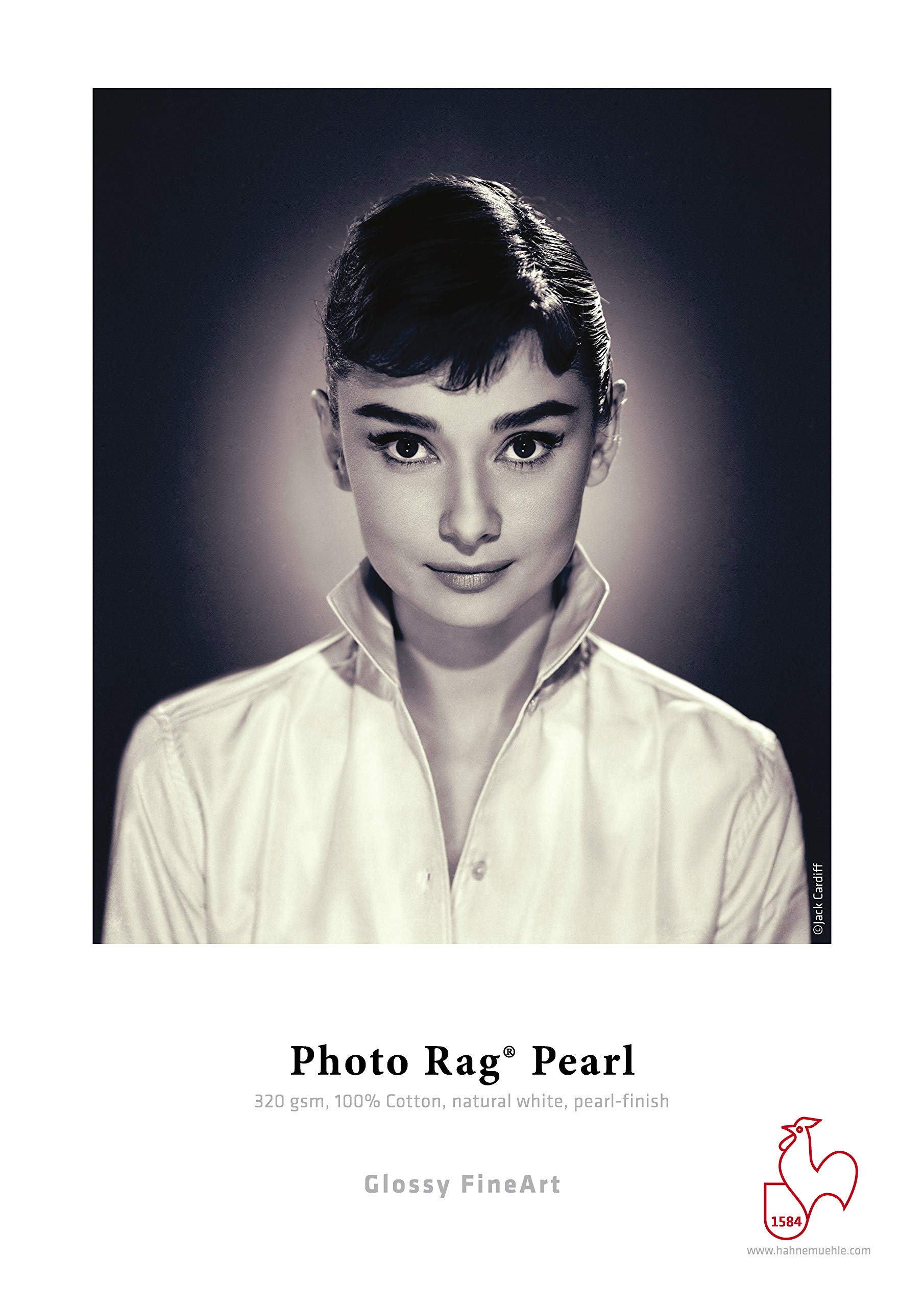 Hahnemühle 10641666 Digital FineArt Photo Rag Pearl Papier, 320 g/m², DIN A3, 297 x 420 mm, naturalna biel