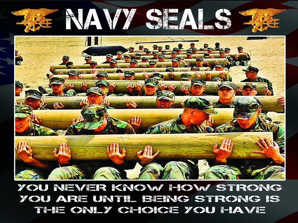 NAVY SEALS Poster Us Navy Gifts 18X24 (SEALSV8)