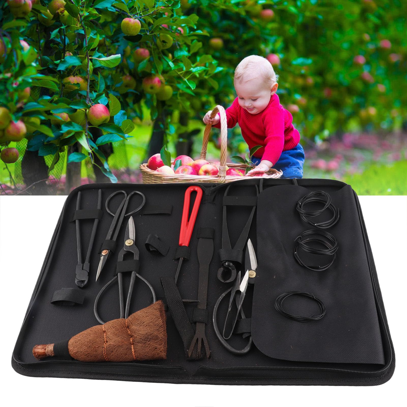 Juego de herramientas para bonsái, 12 piezas, kit de herramientas para bonsái, juego de herramientas para jardinería, suculentas, kit de recorte de suculentas de acero al carbono