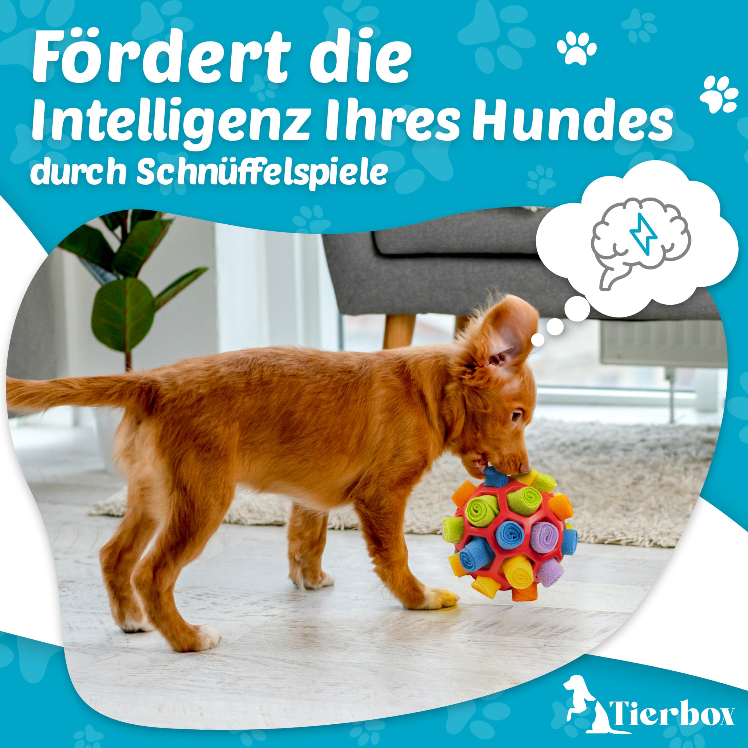 Schnüffelball für Hunde Intelligenzspielzeug [für alle Hunde] Schnüffelspiele Hund | Rosen Rot