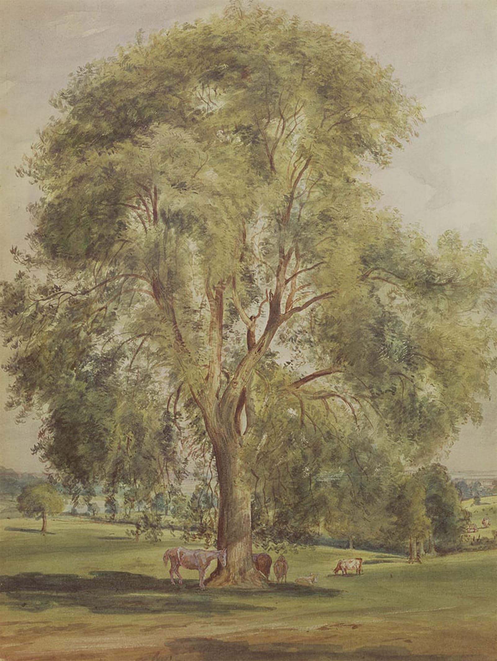 SERENDIPITP Vintage Picture Print on Canvas Wall Art Poster the Tree by John Constable Artwork Print Poster for Wall Decor 60x90cm