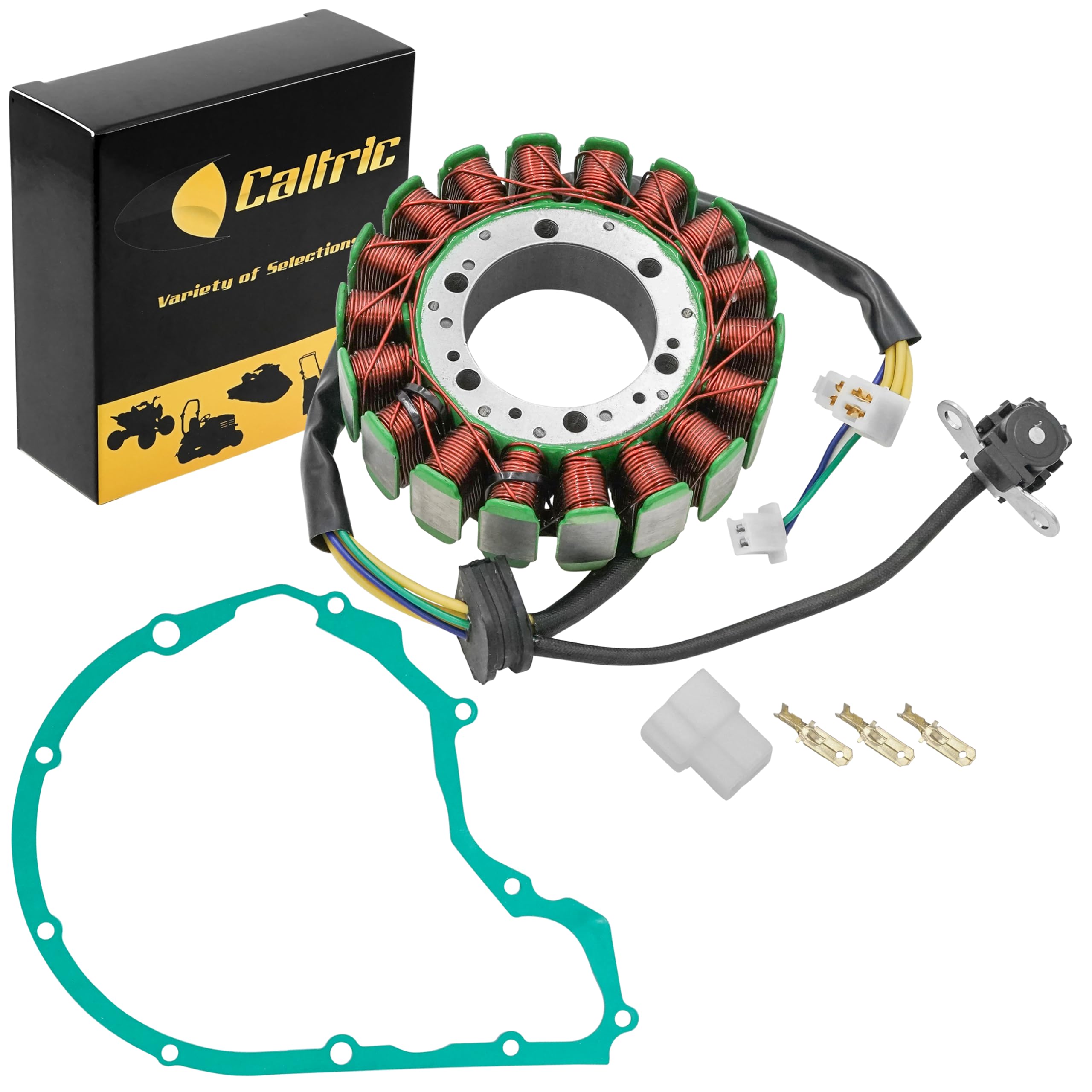 Amazon.com: Caltric Stator and Gasket Compatible With Suzuki