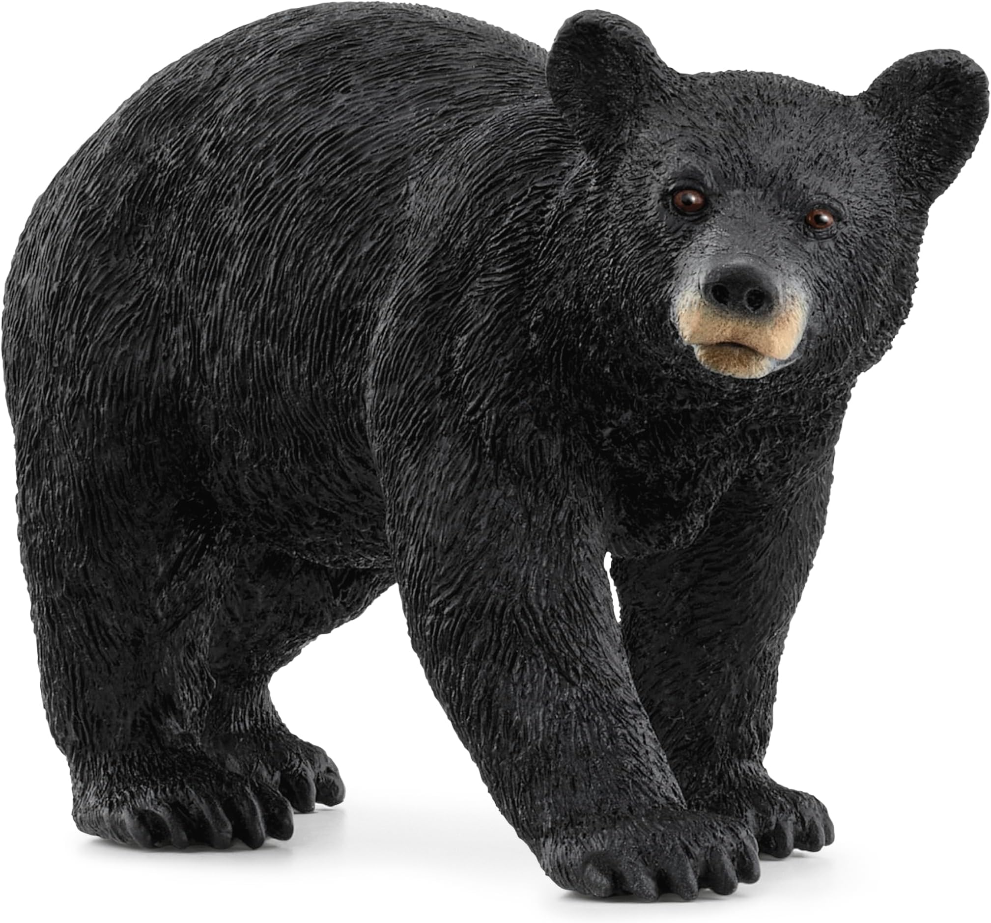 Schleich Wild Life - Wild Animal Toy American Black Bear Figurine - Kids and Toddlers Ages 3+