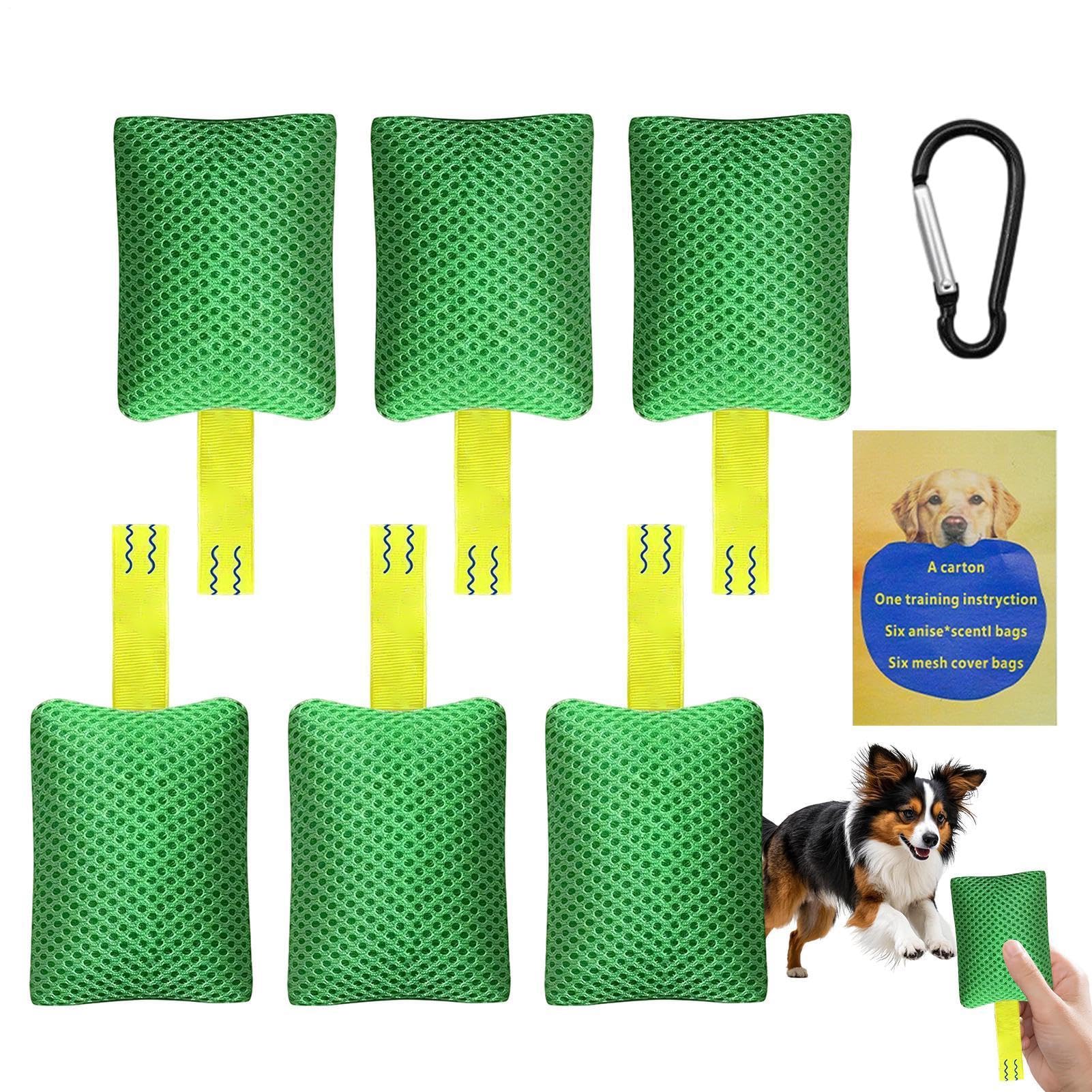 Kit d'entraînement à l'agilité pour chien contre l'ennui des chiots en intérieur et extérieur