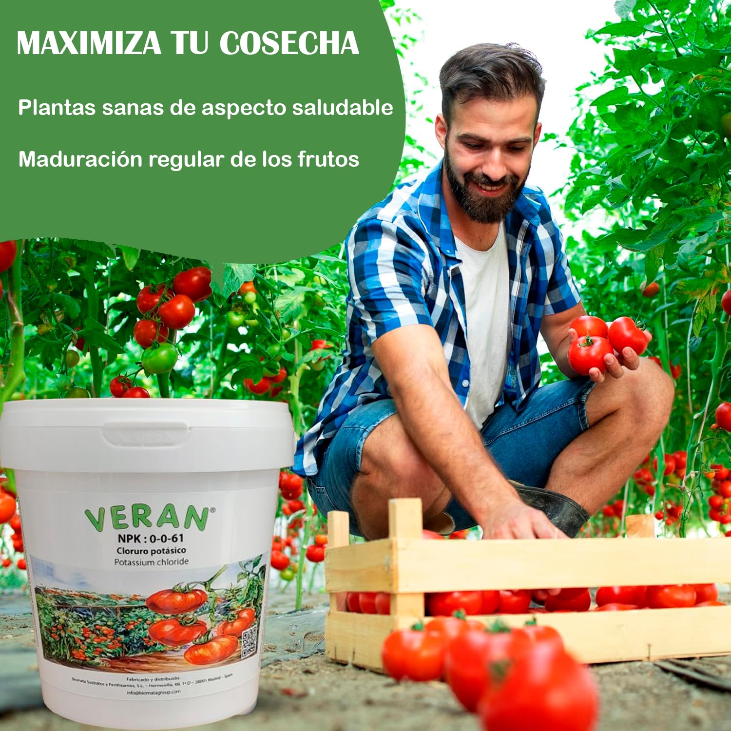 VERAN Fertilizante Cloruro Potásico NPK 0-0-61 1Kg | Abono Tomates Rico en Potasio Hidrosoluble | Fertilizante Tomates También para Hortalizas, Frutas y Cultivos Exigentes en Potasio