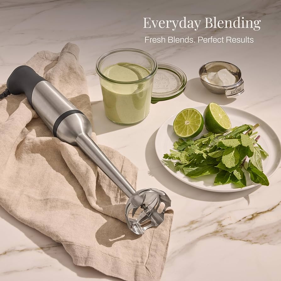 Amazon.com: All-Clad Electrics Stainless Steel Immersion Blender 2